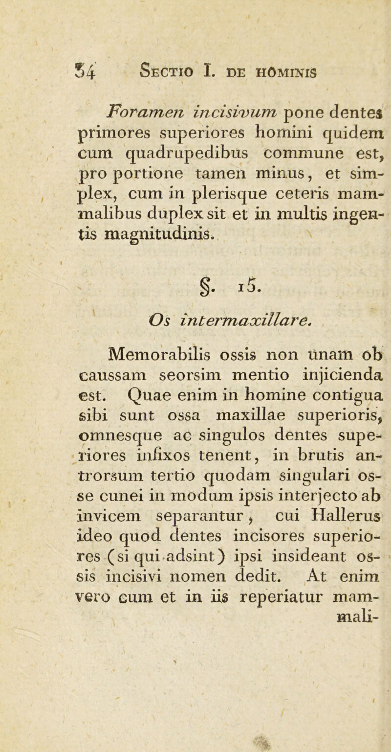 Foramen incisivum pone dentes primores superiores homini quidem cum quadrupedibus commune est, pro portione tamen mirius, et sim- plex, cum in plerisque ceteris mam- malibus duplex sit et in multis ingen- tis magnitudinis. §. i5. Os intermaxillare. Memorabilis ossis non unam ob caussam seorsim mentio injicienda est. Quae enim in homine contigua sibi sunt ossa maxillae superioris, omnesque ac singulos dentes supe- riores infixos tenent, in brutis an- tro rsum tertio quodam singulari os- se cunei in modum ipsis interjecto ab invicem separantur > cui Hallerus ideo quod dentes incisores superio- res (si qui adsint) ipsi insideant os- sis incisivi nomen dedit. At enim vero eum et in iis reperiatur mam- mali-