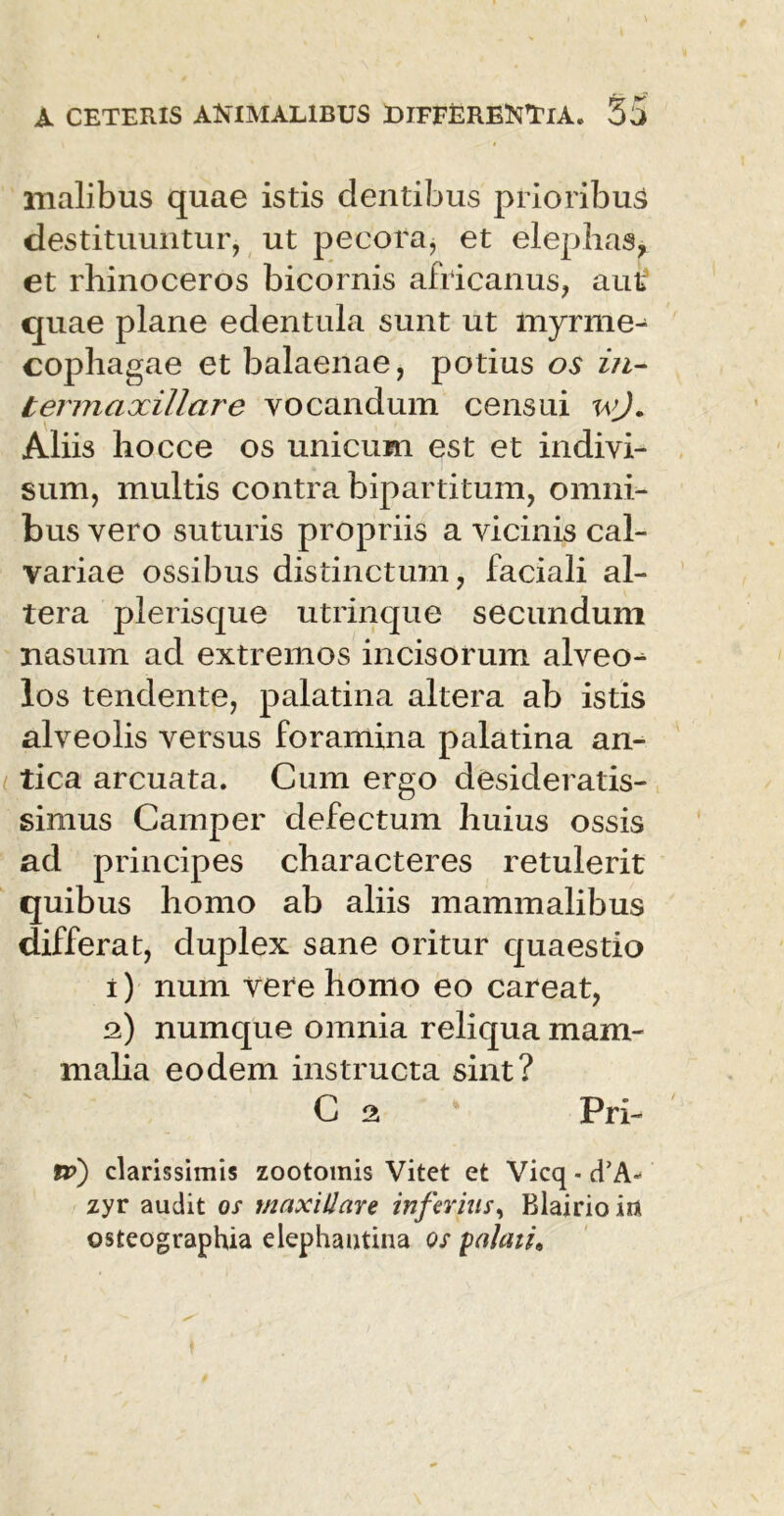 malibus quae istis dentibus prioribus destituuntur, ut pecora, et elephas, et rhinoceros bicornis africanus, aut quae plane edentula sunt ut myrme- cophagae et balaenae, potius os in- termaxillare vocandum censui wj. Aliis hocce os unicum est et indivi- sum, multis contra bipartitum, omni- bus vero suturis propriis a vicinis cal- variae ossibus distinctum, faciali al- tera plerisque utrinque secundum nasum ad extremos incisorum alveo- los tendente, palatina altera ab istis alveolis versus foramina palatina an- tica arcuata. Cum ergo desideratis- simus Camper defectum huius ossis ad principes characteres retulerit quibus homo ab aliis mammalibus differat, duplex sane oritur quaestio 1) num vere homo eo careat, 2) numque omnia reliqua mam- malia eodem instructa sint? C 2 Pri- rv) clarissimis zootomis Vitet et Vicq - d’A- zyr audit os maxillare inferius, Elairio in osteographia elephantina os palati.