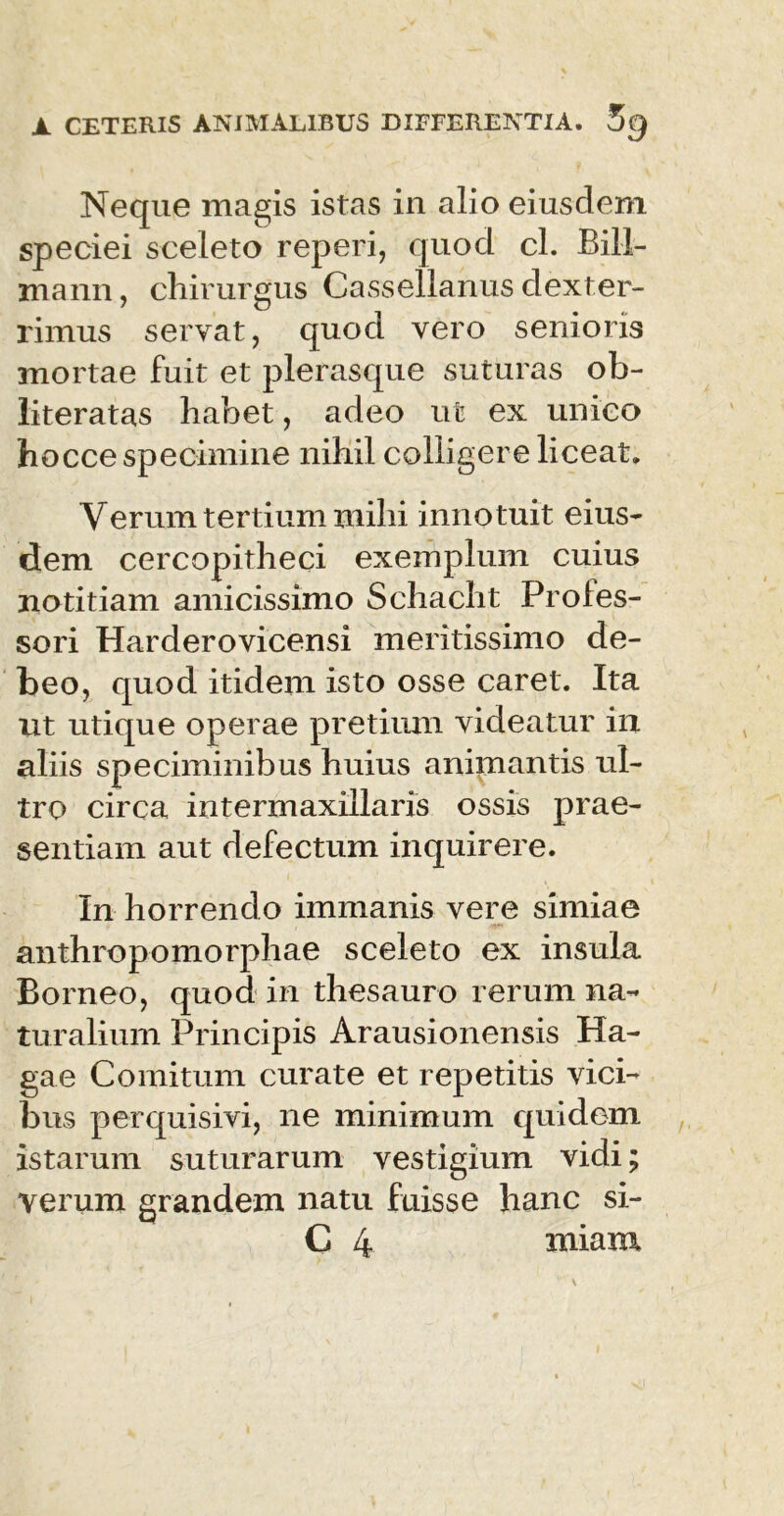 Neque magis istas in alio eiusdem speciei sceleto reperi, quod cl. Bill- mann, chirurgus Cassellanus dexter- rimus servat, quod vero senioris mortae fuit et plerasque suturas ob- literatas habet, adeo ut ex unico hocce specimine nihil colligere liceat. Verum tertium mihi innotuit eius- dem cercopitheci exemplum cuius notitiam amicissimo Schacht Profes- sori Harderovicensi meritissimo de- beo, quod itidem isto osse caret. Ita ut utique operae pretium videatur in aliis speciminibus huius animantis ul- tro circa intermaxillaris ossis prae- sentiam aut defectum inquirere. In horrendo immanis vere simiae anthropomorphae sceleto ex insula Borneo, quod in thesauro rerum na- turalium Principis Arausionensis Ha- gae Comitum curate et repetitis vici- bus perquisivi, ne minimum quidem istarum suturarum vestigium vidi; verum grandem natu fuisse hanc si-