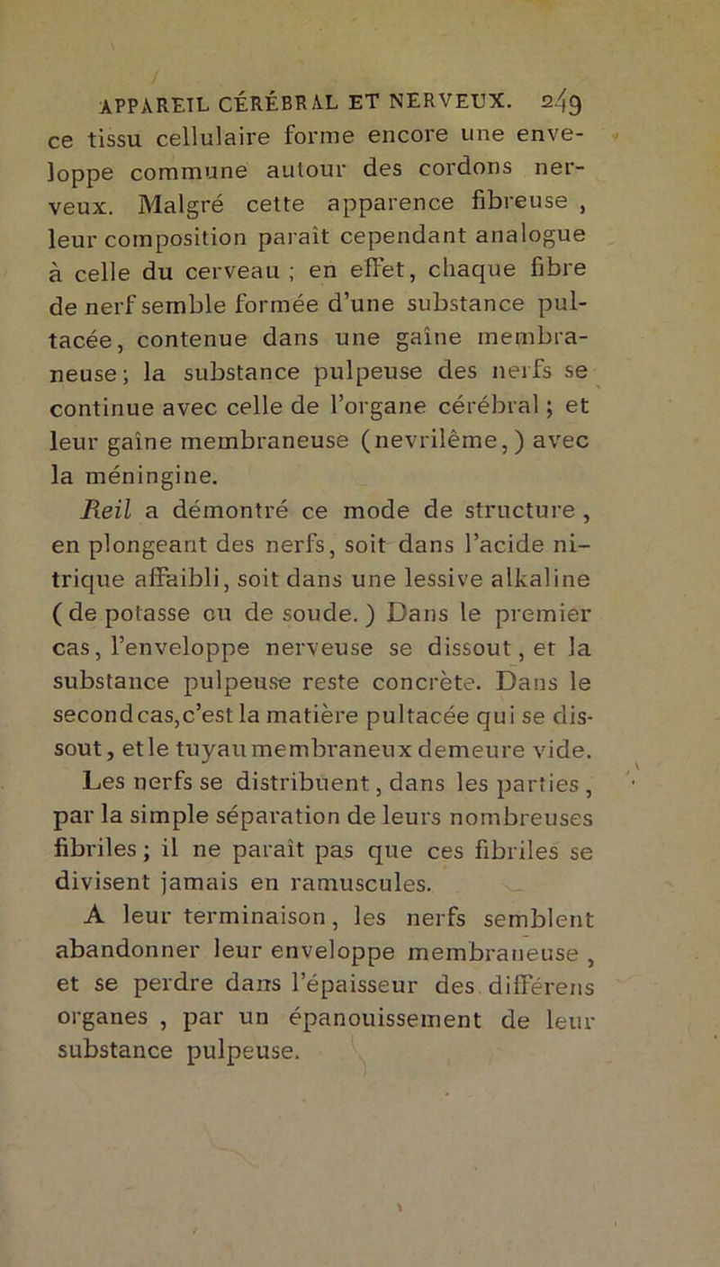 ce tissu cellulaire forme encore une enve- loppe commune autour des cordons ner- veux. Malgré cette apparence fibreuse , leur composition paraît cependant analogue à celle du cerveau; en effet, chaque fibre de nerf semble formée d’une substance pul- tacée, contenue dans une gaine membra- neuse; la substance pulpeuse des nerfs se continue avec celle de l’organe cérébral ; et leur gaine membraneuse (nevrilême,) avec la méningine. Reil a démontré ce mode de structure , en plongeant des nerfs, soit dans l’acide ni- trique affaibli, soit dans une lessive alkaline ( de potasse eu de soude. ) Dans le premier cas, l’enveloppe nerveuse se dissout, et la substance pulpeuse reste concrète. Dans le secondcas,c’est la matière pultacée qui se dis- sout, et le tuyau membraneux demeure vide. Les nerfs se distribuent, dans les parties , par la simple séparation de leurs nombreuses fibriles ; il ne paraît pas que ces fibriles se divisent jamais en raniuscules. A leur terminaison, les nerfs semblent abandonner leur enveloppe membraneuse , et se perdre dans l’épaisseur des différens organes , par un épanouissement de leur substance pulpeuse.