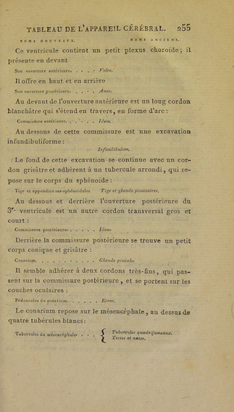 NOMS NOUVEAUX. NOMS ANCIENS. Ce ventricule contient un petit plexus choroïde ; il présente en devant Son ouverture anterieure. ... * Vulve. Il offre en haut et en arrière Son ouverture postérieure. . . • . Anus. Au devant de l’ouverture antérieure est un loug cordon, blanchâtre qui s’étend en travers, en forme d’arc: Commissure antérieure. . . • . . Idem. Au dessous de cette commissure est une excavation infundibuliforme : Infnndibulum. Le fond de cette excavation se continue avec un cor- don grisâtre et adhérent à un tubercule arrondi, qui re- pose sur le corps du sphénoïde : Tige et appendice sus-splicnoïdalcs Tige et glande pituitaires. Au dessous et derrière l’ouverture postérieure du 3r- ventricule est un autre cordon transversal gros et court : Commissure postérieure. Idem• Derrière la commissure postérieure se trouve un petit corps conique et grisâtre : Connriurn. .......... Glande pinéale. t Il semble adhérer à deux cordons très-fins, qui pas- sent sur 1a commissure postérieure , et se portent sur les couches oculaires : Pédoncules du conarium. Renés, Le conarium repose sur le mésencéphale , au dessus de quatre tubérules blancs: Tubercules du méseoccphale* ... S ^.hercule, quadrijumeaux. 1 2 es les et nates.