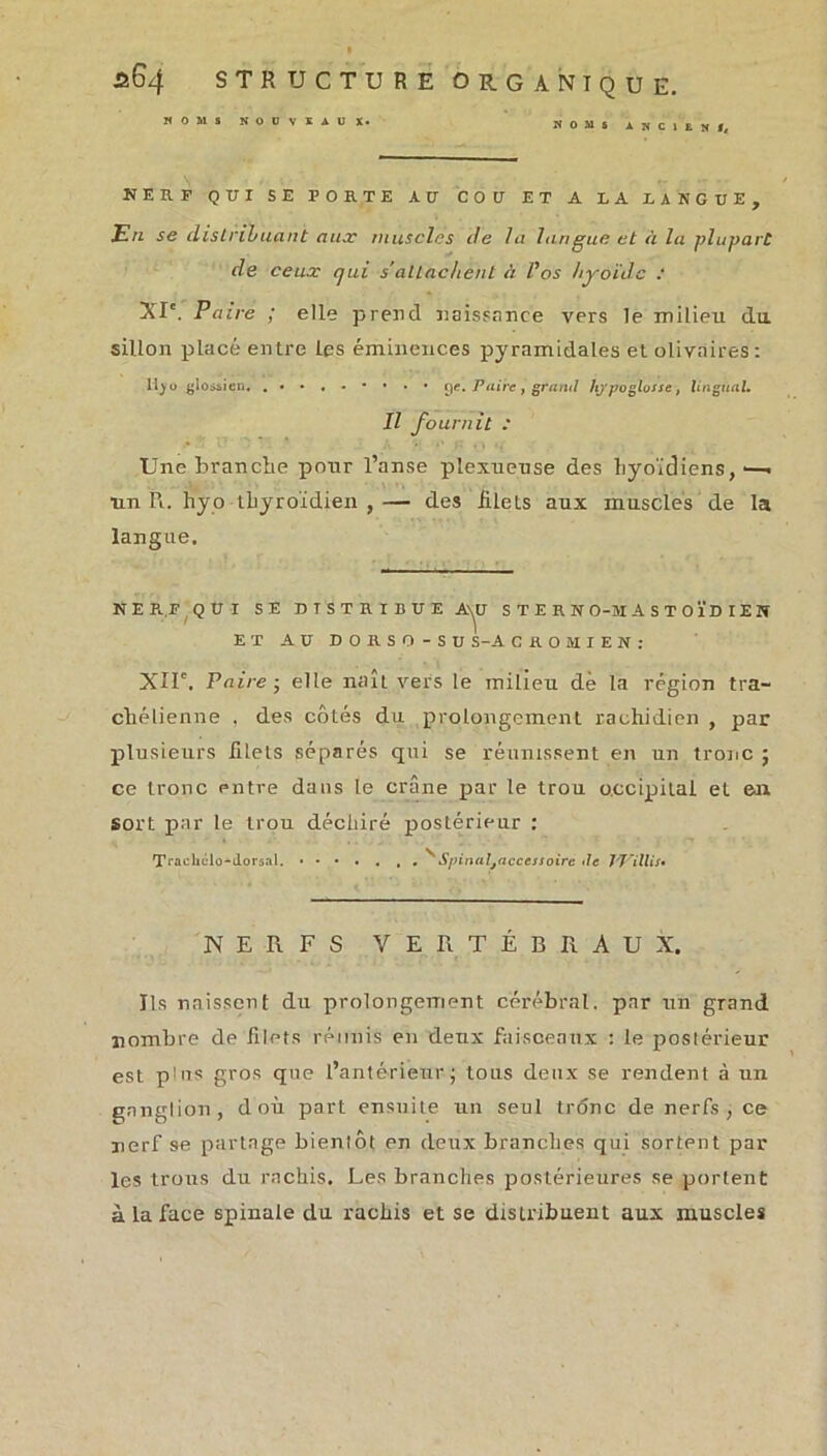 NOMS NOUVEAUX* NOMS ANCIEN f. NERF QUI SE PORTE A U COU ET A LA LANGUE, En se distribuant aux muscles de la langue et à la plupart de ceux qui s'attachent à Vos hyoïde : XI'. Paire ; elle prend naissance vers le milieu du sillon placé entre les éminences pyramidales et olivnires : ltyo yiosiieti. .••«•*••• f)e. Paire } grand hypoglosse, lingual. Il fournit : Une branche pour l’anse plexueuse des hyoïdiens,'—. un Pi. hyo thyroïdien ,— des iilets aux muscles de la langue. NERF QUI SE DISTRIBUE A\U S T E R N O-M A S T O ï D I E îf ET AU DORSO-SU S-A C R O M I E N : XIIe. Paire ; elle naît vers le milieu dè la région tra- chélienne , des côtés du prolongement rachidien , par plusieurs filets séparés qui se réunissent en un tronc ; ce tronc entre dans le crâne par le trou occipital et en Sort par le trou déchiré postérieur : Traehclo*dorsal. ^ Spinal9accessoire île J'J’illis• NERFS VERTÉBRAUX. Ils naissent du prolongement cérébral, par un grand nombre de filets réunis en deux faisceaux : le postérieur est plus gros que l’antérieur ; tous deux se rendent à un ganglion, d où part ensuite un seul tronc de nerfs , ce nerf se partage bienlôt en deux branches qui sortent par les trous du rachis. Les branches postérieures se portent à la face spinale du rachis et se distribuent aux muscles