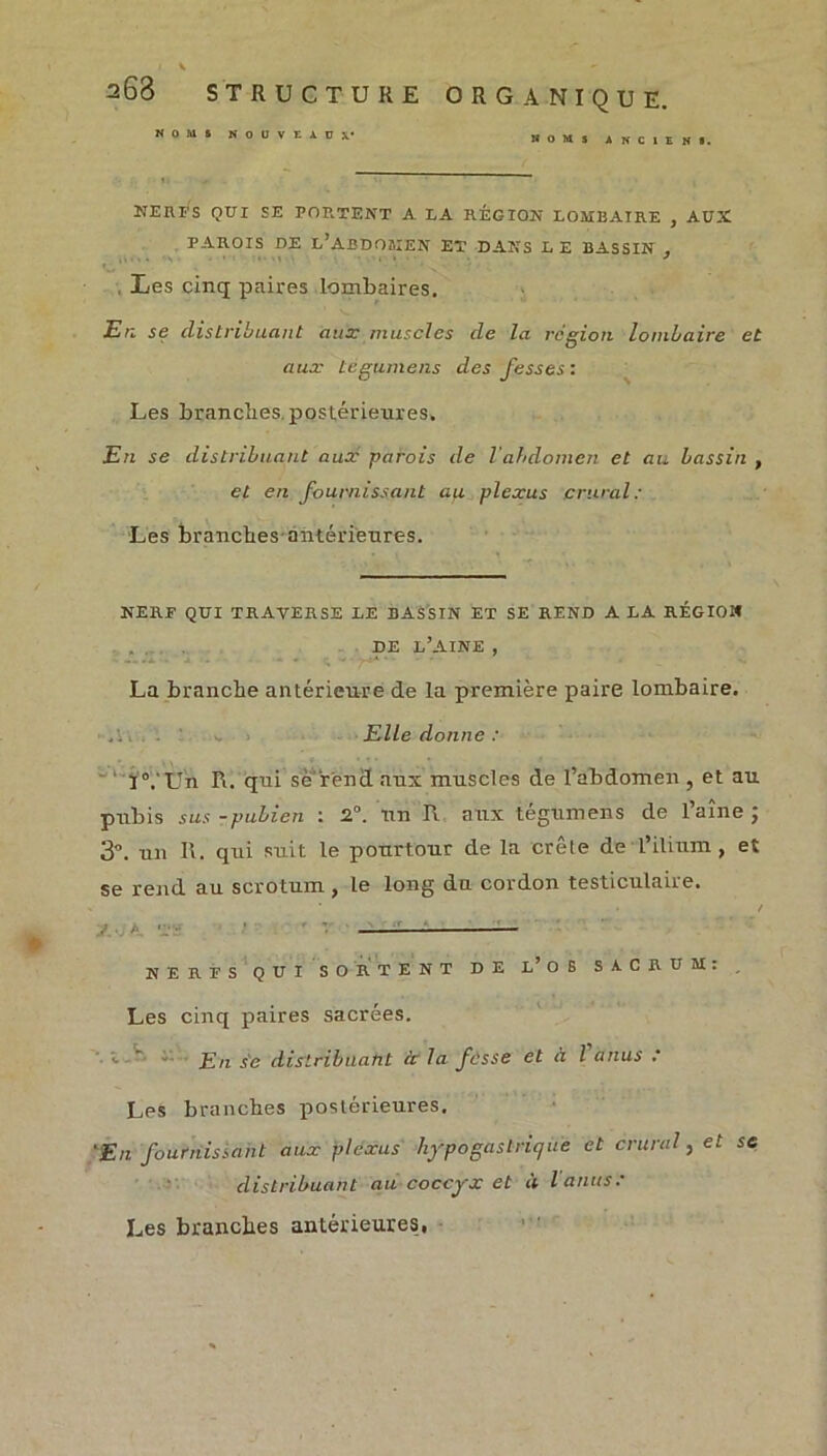 NOMS NOUVEAUX* NOM, ANCIEN,. NERFS QUI SE PORTENT A LA RÉGION LOMBAIRE , AUX PAROIS DE L’ABDOMEN ET DANS L E BASSIN , Les cinq paires lombaires. En se distribuant aux muscles de la région lombaire et aux tégumens des fesses : Les branches postérieures. En se distribuant aux parois de l abdomen et au bassin t et en fournissant au plexus crural: Les branches antérieures. NERF QUI TRAVERSE LE BASSIN ET SE REND A LA RÉGION DE L’AINE , La branche antérieure de la première paire lombaire. Elle donne : iVÜn R. qui sè'rend aux muscles de l’abdomen , et au pubis sus -pubien : 2°. un R aux tégumens de l’aîne ; 3®. un 11. qui suit le pourtour de la crête de l’ilium , et se rend au scrotum , Le long du cordon testiculaire. / J . A. ’I • — NERFS QUI SORTENT DE L’OS SACRUM: . Les cinq paires sacrées. En se distribuant ic la fesse et à l anus .’ Les branches postérieures. ‘En fournissant aux plexus hypogastrique et crural, et se distribuant au coccyx et à l'anus: Les branches antérieures,