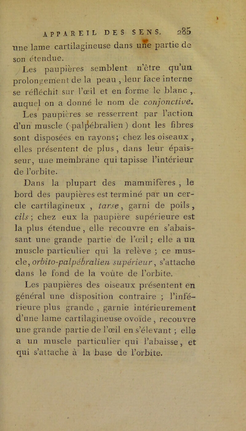 une lame cartilagineuse dans une partie de son étendue. Les paupières semblent n’être qu’un prolongement de la peau , leur face interne se réfléchit sur l’œil et en forme le blanc , auquel on a donné le nom de conjonctive. Les paupières se resserrent par l’action d’un muscle ( pal^ébralien ) dont les fibres sont disposées en rayons; chez les oiseaux , elles présentent de plus , dans leur épais- seur, une membrane qui tapisse l’intérieur de l’orbite. Dans la plupart des mammifères , le bord des paupières est terminé par un cer- cle cartilagineux , tarse, garni de poils, cils-, chez eux la paupière supérieure est la plus étendue , elle recouvre en s’abais- sant une grande partie de l’œil ; elle a un muscle particulier qui la relève ; ce mus- cle, orbito-palpébralien supérieur, s’attache dans le fond de la voûte de l’orbite. Les paupières des oiseaux présentent en général une disposition contraire ; l’infé- rieure plus grande , garnie intérieurement d’une lame cartilagineuse ovoïde , recouvre une grande partie de l’œil en s’élevant ; elle a un muscle particulier qui l’abaisse, et qui s’attache à la base de l’orbite.