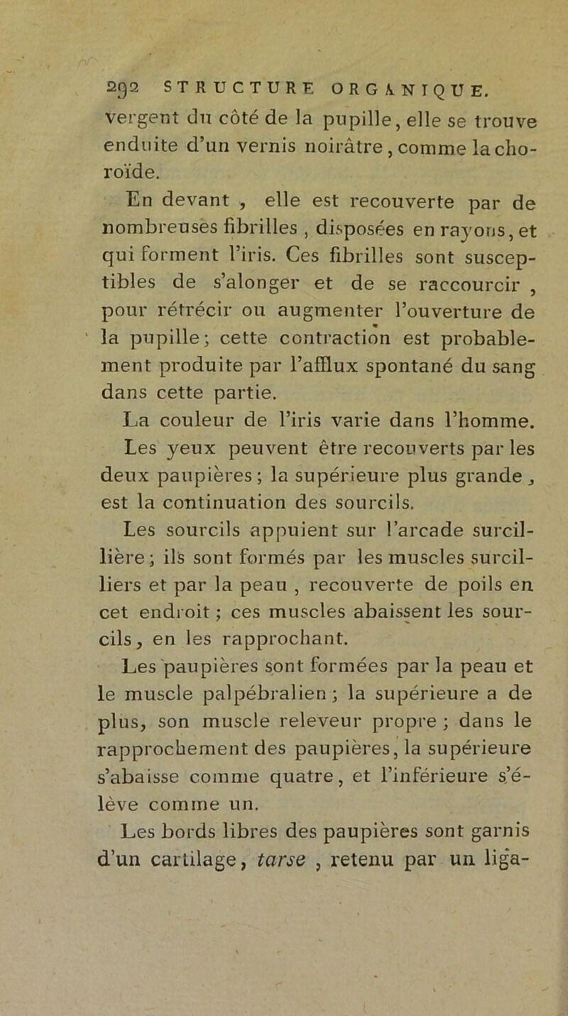 vergent dn côté de la pupille, elle se trouve enduite d’un vernis noirâtre , comme la cho- roïde. En devant , elle est recouverte par de nombreuses fibrilles , disposées en rayons, et qui forment l’iris. Ces fibrilles sont suscep- tibles de s’alonger et de se raccourcir , pour rétrécir ou augmenter l’ouverture de « la pupille; cette contraction est probable- ment produite par l’afflux spontané du sang dans cette partie. La couleur de l’iris varie dans l’homme. Les yeux peuvent être recouverts par les deux paupières; la supérieure plus grande,, est la continuation des sourcils. Les sourcils appuient sur l’arcade surcil- lière; ils sont formés par les muscles surcil- liers et par la peau , recouverte de poils en cet endroit ; ces muscles abaissent les sour- cils, en les rapprochant. Les paupières sont formées par la peau et le muscle palpébralien ; la supérieure a de plus, son muscle releveur propre ; dans le rapprochement des paupières, la supérieure s’abaisse comme quatre, et l’inférieure s’é- lève comme un. Les bords libres des paupières sont garnis d’un cartilage, tarse , retenu par un liga-