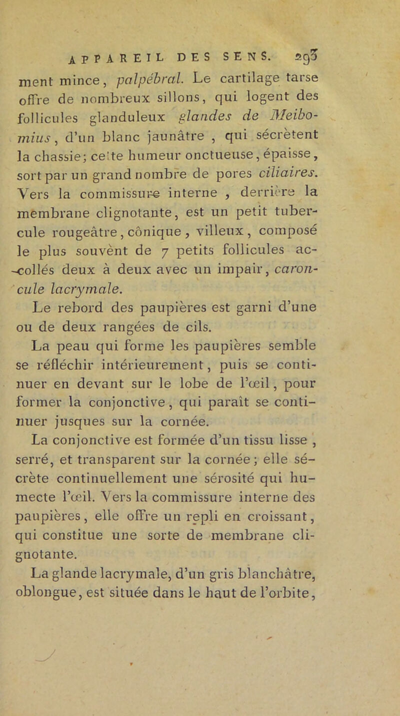 ment mince, palpébral. Le cartilage tarse offre de nombreux sillons, qui logent des follicules glanduleux plandes de IMeibo- mius, d’un blanc jaunâtre , qui sécrètent la chassie; ce'te humeur onctueuse, épaisse, sort par un grand nombre de pores ciliaires. Vers la commissure interne , derrière la membrane clignotante, est un petit tuber- cule rougeâtre, conique , villeux, composé le plus souvent de 7 petits follicules ac- -collés deux à deux avec un impair, caron- cule lacrymale. Le rebord des paupières est garni d’une ou de deux rangées de cils. La peau qui forme les paupières semble se réfléchir intérieurement, puis se conti- nuer en devant sur le lobe de l’œil, pour former la conjonctive, qui parait se conti- nuer jusques sur la cornée. La conjonctive est formée d’un tissu lisse , serré, et transparent sur la cornée; elle sé- crète continuellement une sérosité qui hu- mecte l’œil. Vers la commissure interne des paupières, elle offre un repli en croissant, qui constitue une sorte de membrane cli- gnotante. La glande lacrymale, d’un gris blanchâtre, oblongue, est située dans le haut de l’orbite,