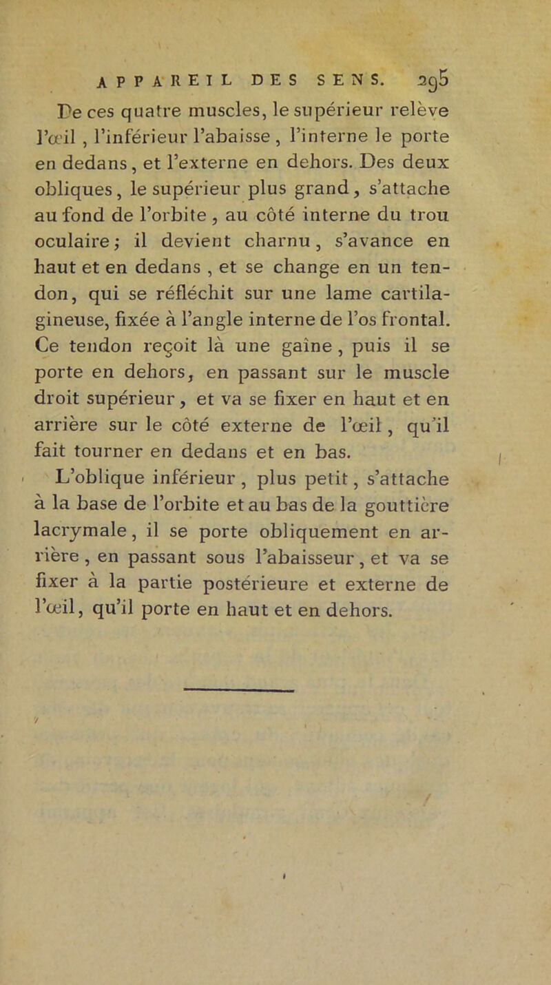 De ces quatre muscles, le supérieur relève l’œil , l’inférieur l’abaisse, l’interne le porte en dedans, et l’externe en dehors. Des deux obliques, le supérieur plus grand, s’attache au fond de l’orbite , au côté interne du trou oculaire; il devient charnu, s’avance en haut et en dedans , et se change en un ten- don, qui se réfléchit sur une lame cartila- gineuse, fixée à l’angle interne de l’os frontal. Ce tendon reçoit là une gaine , puis il se porte en dehors, en passant sur le muscle droit supérieur, et va se fixer en haut et en arrière sur le côté externe de l’œil, qu’il fait tourner en dedans et en bas. L’oblique inférieur, plus petit, s’attache à la base de l’orbite et au bas de la gouttière lacrymale, il se porte obliquement en ar- rière , en passant sous l’abaisseur, et va se fixer à la partie postérieure et externe de l’œil, qu’il porte en haut et en dehors. /