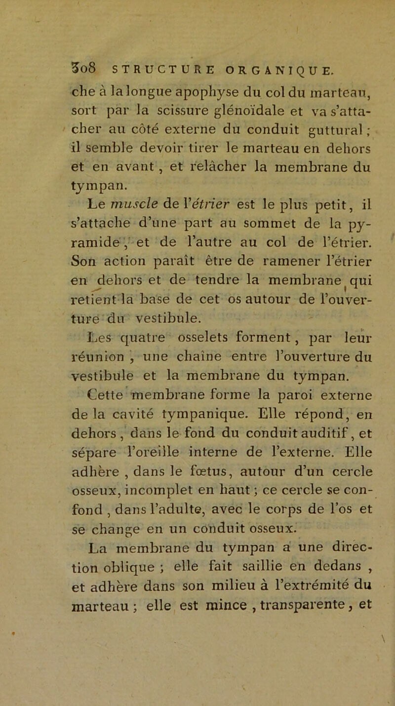 che à la longue apophyse du col du marteau, sort par la scissure glénoïdale et va s’atta- cher au côté externe du conduit guttural ; il semble devoir tirer le marteau en dehors et en avant, et relâcher la membrane du tympan. Le muscle de Y étrier est le plus petit, il s’attache d’une part au sommet de la py- ramide, et de l’autre au col de l’étrier. Son action paraît être de ramener l’étrier en dehors et de tendre la membrane ( qui retient la base de cet os autour de l’ouver- ture du vestibule. Les quatre osselets forment, par leur réunion , une chaîne entre l’ouverture du vestibule et la membrane du tympan. Cette membrane forme la paroi externe delà cavité tympanique. Elle répond, en dehors, dans le fond du conduit auditif, et sépare l’oreille interne de l’externe. Elle adhère , dans le fœtus, autour d’un cercle osseux, incomplet en haut ; ce cercle se con- fond , dans l’adulte, avec le corps de l’os et se change en un conduit osseux. La membrane du tympan a une direc- tion oblique ; elle fait saillie en dedans , et adhère dans son milieu à l’extrémité du marteau ; elle est mince , transparente, et