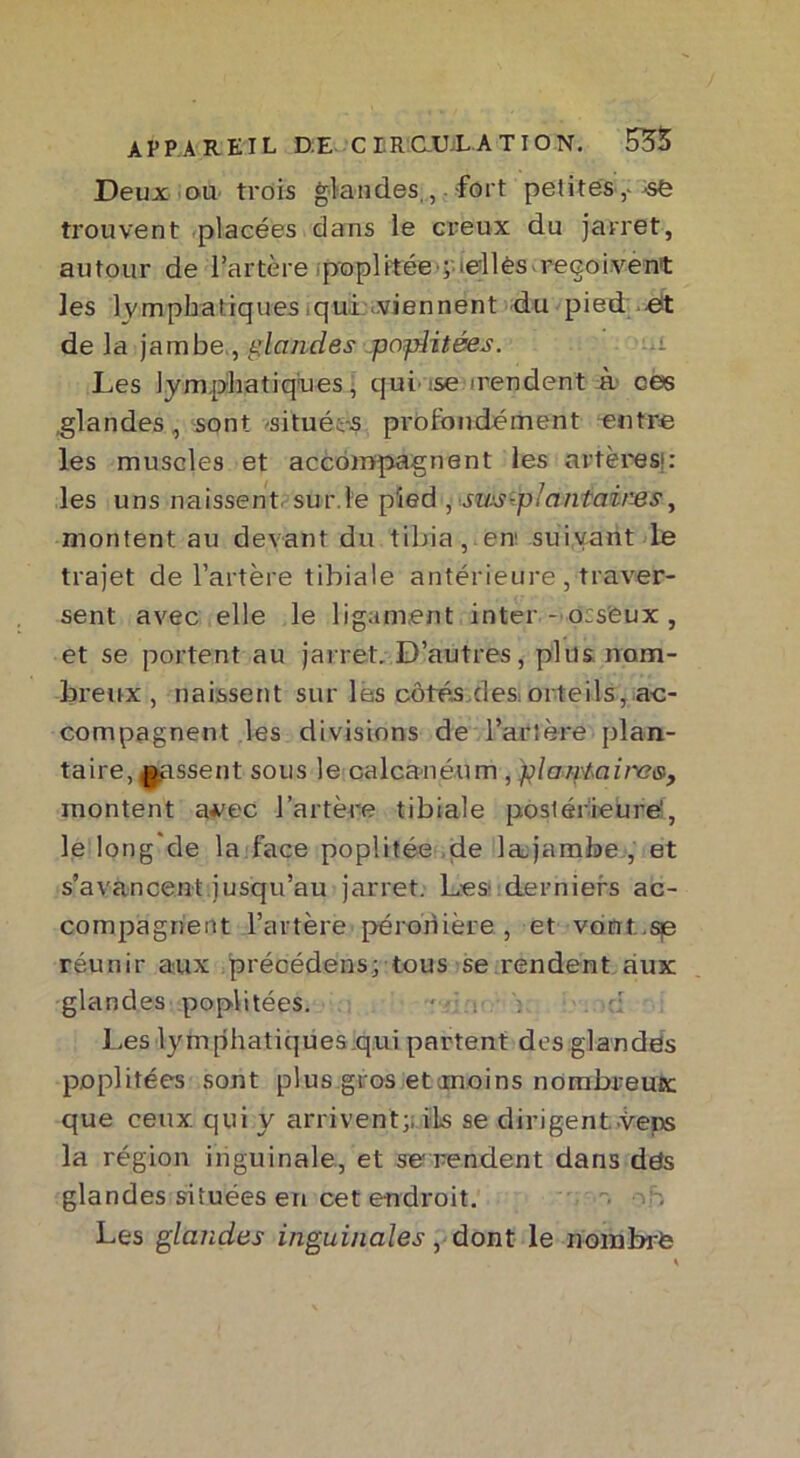 Deux ou trois glandes , -fort petites,- se trouvent placées dans le creux du jarret, autour de l’artère poplitée ; ‘elles reçoivent les lymphatiques qui viennent du pied et de la jambe , glandes poplitées. Les lymphatiques, qui ise irendent à. ces glandes, sont -situéc-s profondément -entre les muscles et accompagnent les artères! : les uns naissent sur.le pied , swsipicmtairzïs, montent au devant du tibia, en- suivant le trajet de l’artère tibiale antérieure , traver- sent avec elle le ligament inter- ocs'êux , et se portent au jarret. D’autres, plus nom- breux , naissent sur les côtés des.orteils, ac- compagnent les divisions de 1 bec 1ère plan- taire, gassent sous le calcanéum , plantai l'a s, montent a^ec l’artère tibiale postérieure', le long de la face poplitée de laqambe , et s’avancent jusqu’au jarret. Les derniers ac- compagnent l’artère péronière , et vont.sp réunir aux précédées; tous se rendent aux glandes poplitées. - Les lymphatiques qui partent des glandes poplitées sont plus gros etemoins nombreux que ceux qui y arrivent;; ils se dirigent, vers la région inguinale, et se rendent dans des glandes situées en cet endroit. Les glandes inguinales, dont le nombrte