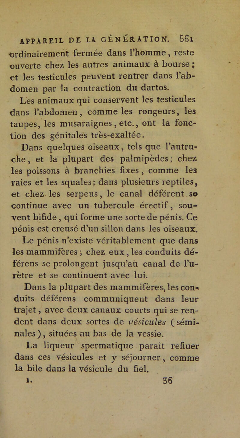 ordinairement fermée dans l’homme, reste ouverte chez les autres animaux à bourse ; et les testicules peuvent rentrer dans l’ab- domen par la contraction du dartos. Les animaux qui conservent les testicules dans l’abdomen, comme les rongeurs, les taupes, les musaraignes , etc., ont la fonc- tion des génitales très-exaltée. Dans quelques oiseaux, tels que l’autru- che , et la plupart des palmipèdes ; chez les poissons à branchies fixes , comme les raies et les squales; dans plusieurs reptiles, et chez les serpeus, le canal déférent sô continue avec un tubercule érectif, sou- vent bifide, qui forme une sorte de pénis. Ce pénis est creusé d’un sillon dans les oiseaux. Le pénis n’existe véritablement que dans les mammifères ; chez eux, les conduits dé- férens se prolongent jusqu’au canal de l’u- rètre et se continuent avec lui. Dans la plupart des mammifères, les con-« duits déférens communiquent dans leur trajet, avec deux canaux courts qui se ren- dent dans deux sortes de vésicules ( sémi- nales), situées au bas de la vessie. La liqueur spermatique parait refluer dans ces vésicules et y séjourner, comme la bile dans la vésicule du fiel. 1. 36