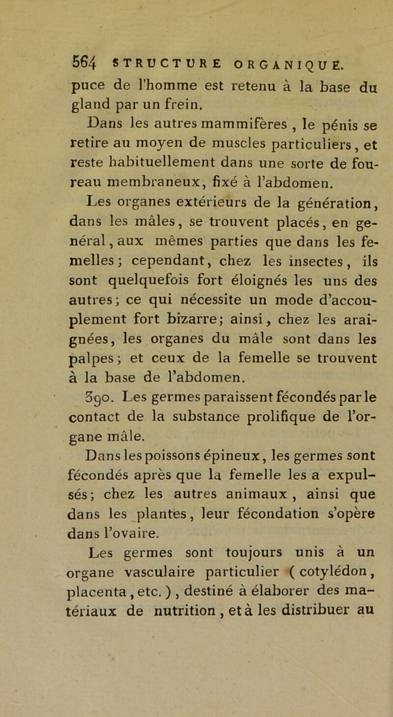 puce de l’homme est retenu à la base du gland par un frein. Dans les autres mammifères , le pénis se retire au moyen de muscles particuliers, et reste habituellement dans une sorte de fou- reau membraneux, fixé à l’abdomen. Les organes extérieurs de la génération, dans les mâles, se trouvent placés, en gé- néral , aux mêmes parties que dans les fe- melles ; cependant, chez les insectes, ils sont quelquefois fort éloignés les uns des autres; ce qui nécessite un mode d’accou- plement fort bizarre; ainsi, chez les arai- gnées, les organes du mâle sont dans les palpes ; et ceux de la femelle se trouvent à la base de l’abdomen. 390. Les germes paraissent fécondés par le contact de la substance prolifique de l’or- gane mâle. Dans les poissons épineux, les germes sont fécondés après que la femelle les a expul- sés; chez les autres animaux, ainsi que dans les plantes, leur fécondation s’opère dans l’ovaire. Les germes sont toujours unis à un organe vasculaire particulier ( cotylédon, placenta , etc. ) , destiné à élaborer des ma- tériaux de nutrition , et à les distribuer au