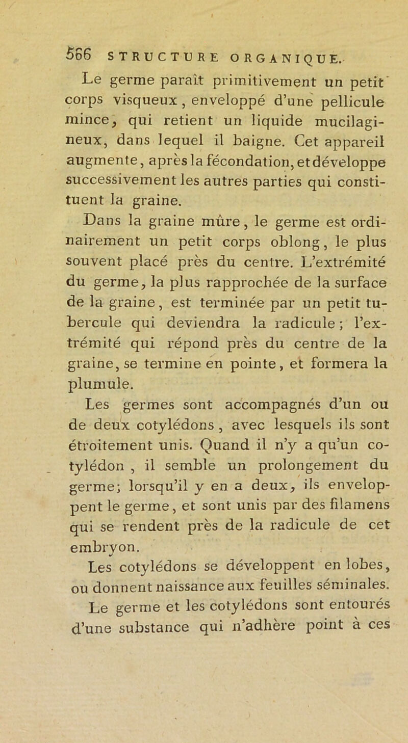 Le germe parait primitivement un petit corps visqueux, enveloppé d’une pellicule mince, qui retient un liquide mucilagi- neux, dans lequel il baigne. Cet appareil augmente, après la fécondation, etdéveloppe successivement les autres parties qui consti- tuent la graine. Dans la graine mûre, le germe est ordi- nairement un petit corps oblong, le plus souvent placé près du centre. L’extrémité du germe, la plus rapprochée de la surface de la graine, est terminée par un petit tu- bercule qui deviendra la radicule ; l’ex- trémité qui répond près du centre de la graine, se termine en pointe, et formera la plumule. Les germes sont accompagnés d’un ou de deux cotylédons , avec lesquels ils sont étroitement unis. Quand il n’y a qu’un co- tylédon , il semble un prolongement du germe; lorsqu’il y en a deux, ils envelop- pent le germe, et sont unis par des filamens qui se rendent près de la radicule de cet embryon. w Les cotylédons se développent en lobes, ou donnent naissance aux feuilles séminales. Le germe et les cotylédons sont entourés d’une substance qui n’adhère point à ces