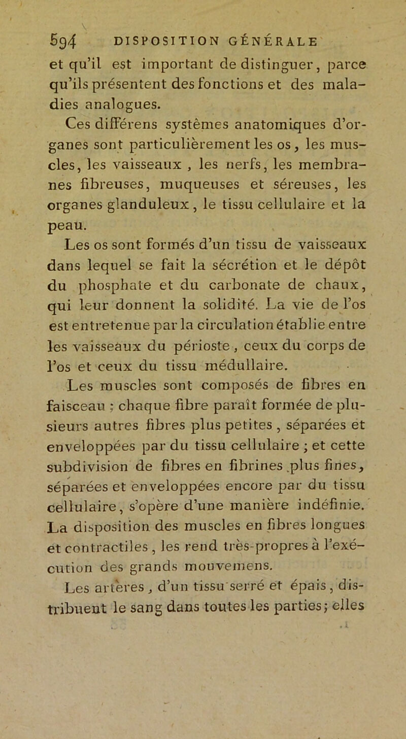 \ 594 DISPOSITION GÉNÉRALE et qu’il est important de distinguer, parce qu’ils présentent des fonctions et des mala- dies analogues. Ces difFérens systèmes anatomiques d’or- ganes sont particulièrement les os, les mus- cles, les vaisseaux , les nerfs, les membra- nes fibreuses, muqueuses et séreuses, les organes glanduleux, le tissu cellulaire et la peau. Les os sont formés d’un tissu de vaisseaux dans lequel se fait la sécrétion et le dépôt du phosphate et du carbonate de chaux, qui leur donnent la solidité. La vie de l’os est entretenue par la circulation établie entre les vaisseaux du périoste , ceux du corps de l’os et ceux du tissu médullaire. Les muscles sont composés de fibres en faisceau ; chaque fibre paraît formée de plu- sieurs autres fibres plus petites , séparées et enveloppées par du tissu cellulaire ; et cette subdivision de fibres en fibrines .plus fines, séparées et enveloppées encore par du tissu cellulaire, s’opère d’une manière indéfinie. La disposition des muscles en fibres longues et contractiles , les rend très-propres à l’exé- cution des grands mouvemens. Les artères , d’un tissu serré et épais , dis- tribuent le sang dans toutes les parties ; elles