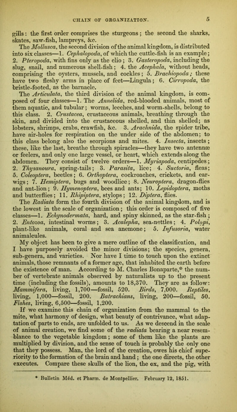 gills: the first order comprises the sturgeons ; the second the sharks, skates, saw-fish, lampreys, &c. The Mollusca, the second division of the animal kingdom, is distributed into six classes—1. Cephalopoda^ of which the cuttle-fish is an example; 2. Pteropoda^ with fins only as the clio ; 3. Gasteropoda^ including the slug, snail, and numerous shell-fish; 4. the Acephala, without heads, comprising the oysters, mussels, and cockles; 5. Brachiopoda; these have two fleshy arms in place of feet—Lingula; 6. Cirropoda^ the bristle-footed, as the barnacle. The Articulata^ the third division of the animal kingdom, is com- posed of four classes—1. The Annelida^ red-blooded animals, most of them aquatic, and tubular; worms, leeches, and worm-shells, belong to this class. 2. Crustacea^ crustaceous animals, breathing through the skin, and divided into the crustaceous shelled, and thin shelled; as lobsters, shrimps, crabs, crawfish, &c. 3. Arachnida^ the spider tribe, have air-holes for respiration on the under side of the abdomen; to this class belong also the scorpions and mites. 4. Insecta, insects ; these, like the last, breathe through spiracles—they have two antennae or feelers, and only one large vessel, or heart, which extends along the abdomen. They consist of twelve orders—1. Myriapoda, centipedes; 2. Thysanoura, spring-tails; 3. Parasita, lice; 4. Suctoriu, fleas; 5. Coleoptera^ beetles; 6. Orthoptera^ cockroaches, crickets, and ear- wigs ; 7. Hemiptera^ bugs and woodlice; 8. Neuropiera, dragon-flies and ant-lion; 9. Hymenoptera^ bees and ants; 10. Lepidoptera, moths and butterflies; 11. stylops; 12. flies. The Radiata form the fourth division of the animal kingdom, and is the lowest in the scale of organization; this order is composed of five classes—1. Echynodermata^ hard, and spiny skinned, as the star-fish ; 2. Entozoa^ intestinal worms; 3. Acalepha^ sea-nettles; 4. Polypi^ plant-like animals, coral and sea anemone; 5. Infusoria^ water animalcules. My object has been to give a mere outline of the classification, and I have purposely avoided the minor divisions; the species, genera, sub-genera, and varieties. Nor have I time to touch upon the extinct animals, those remnants of a former age, that inhabited the earth before the existence of man. According to M. Charles Bonaparte,^' the num- ber of vertebrate animals observed by naturalists up to the present time (including the fossils), amounts to 18,370. They are as follow: Mammifera^ living, 1,700—fossil, 520. Birds, 7,000. Reptiles, living, 1,000—fossil, 200. Batrachians, living, 200—fossil, 50. Fishes, living, 6,500—fossil, 1,200. If we examine this chain of organization from the mammal to the mite, what harmony of design, what beauty of contrivance, what adap- tation of parts to ends, are unfolded to us. As we descend in the scale of animal creation, we find some of the radiata bearing a near resem- blance to the vegetable kingdom; some of them like the plants are multiplied by division, and the sense of touch is probably the only one that they possess. Man, the lord of the creation, owes his chief supe- riority to the formation of the brain and hand; the one directs, the other executes. Compare these skulls of the lion, the ox, and the pig, with * Bulletin M6d. et Pharm. de Montpellier. February 12, 1851.