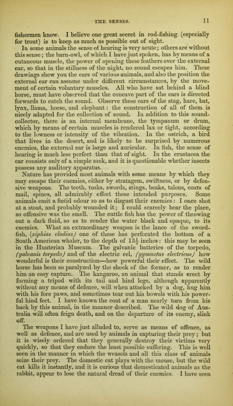 fishermen know. I believe one great secret in rod-fishing (especially for trout) is to keep as much as possible out of sight. In some animals the sense of hearing is very acute; others are without this sense; the barn-owl, of which I have just spoken, has by means of a cutaneous muscle, the power of opening these feathers over the external ear, so that in the stillness of the night, no sound escapes him. These drawings shew you the ears of various animals, and also the position the external ear can assume under different circumstances, by the move- ment of certain voluntary muscles. All who have sat behind a blind horse, must have observed that the concave part of the ears is directed forwards to catch the sound. Observe these ears of the stag, hare, bat, lynx, llama, horse, and elephant: the construction of all of them is nicely adapted for the collection of sound. In addition to this sound- collector, there is an internal membrane, the tympanum or drum, which by means of certain muscles is rendered lax or tight, according to the lowness or intensity of the vibration. In the ostrich, a bird that lives in the desert, and is likely to be surprised by numerous enemies, the external ear is large and auricular. In fish, the sense of hearing is much less perfect than that of sight. In the Crustacea the ear consists only of a simple sack, and it is questionable whether insects possess any auditory apparatus. Nature has provided most animals with some means by which they may escape their enemies, either by stratagem, swiftness, or by defen- sive weapons. The teeth, tusks, swords, stings, beaks, talons, coats of mail, spines, all admirably effect these intended purposes. Some animals emit a foetid odour so as to disgust their enemies : I once shot at a stoat, and probably wounded it; I could scarcely bear the place, so offensive was the smell. The cuttle fish has the power of throwing out a dark fluid, so as to render the water black and opaque, to its enemies. What an extraordinary weapon is the lance of the sword- fish, {xiphias clodiiis) one of these has perforated the bottom of a South American whaler, to the depth of 13 J inches : this may be seen in the Hunterian Museum. The galvanic batteries of the torpedo, (galvanis torpedo) and of the electric eel, fgymnotus electricusj how wonderful is their construction—how powerful their effect. The wild horse has been so paralyzed by the shock of the former, as to render him an easy capture. The kangaroo, an animal that stands erect by forming a tripod with its tail and hind legs, although apparently without any means of defence, will when attacked by a dog, hug him with his fore paws, and sometimes tear out his bowels with his power- ful hind feet. I have known the coat of a man nearly torn from his back by this animal, in the manner described. The wild dog of Aus- tralia will often feign death, and on the departure of its enemy, slink off. The weapons I have just alluded to, serve as means of offence, as well as defence, and are used by animals in capturing their prey; but it is wisely ordered that they generally destroy their victims very quickly, so that they endure the least possible suffering. This is well seen in the manner in which the weasels and all this class of animals seize their prey. The domestic cat plays with the mouse, but the wild cat kills it instantly, and it is curious that domesticated animals as the rabbit, appear to lose the natural dread of their enemies. I have seen