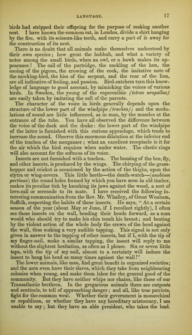 LANGUAGE. birds had stripped their offspring for the purpose of making another nest. I have known the common rat, in London, divide a shirt hanging by the fire, with its scissors-like teeth, and carry a part of it away for the construction of its nest. There is no doubt that all animals make themselves understood by their own species; how great the hubbub, and what a variety of notes among the small birds, when an owl, or a hawk makes its ap- pearance ! The call of the partridge, the cackling of the hen, the cooing of the pigeon, the crowing of the cock, the imitative note of the mocking-bird, the hiss of the serpent, and the roar of the lion, are all indicative of feeling, and passion. Bird-catchers turn this know- ledge of language to good account, by mimicking the voices of various birds. In Sweden, the young of the capercailzie (tetras urogallusj are easily taken by imitating the call of the parents. The character of the voice in birds generally depends upon the structure of the lower part of the windpipe (trachea); and the modu- lations of sound are little influenced, as in man, by the muscles at the entrance of the tube. You have all observed the difference between the voice of the duck and the drake : the lower part of the windpipe of the latter is furnished with this curious appendage, which tends to increase the sound. Observe this enormous dilatation at the inferior end of the trachea of the merganser ; what an excellent receptacle is it for the air which the bird requires when under water. The elastic rings will also account for the softness of its voice. Insects are not furnished with a trachea. The buzzing of the bee, fly, and other insects, is produced by the wings. The chirping of the grass- hopper and cricket is occasioned by the action of the thighs, upon the elytra or wing-covers. This little beetle—the death-watch—{anohium pertinax) the round holes formed by which you have seen in old timber, makes its peculiar tick by knocking its jaws against the wood, a sort of love-call or serenade to its mate. I have received the following in- teresting communication from the Rev. Mr. Whalley, of Great Wenham, Suffolk, respecting the habits of these insects. He says, “ At a certain season of the year (about May or June, if I recollect rightly), I often see these insects on the wall, bending their heads forward, as a man would who should try to make his chin touch his breast; and beating by the violent action of the whole body the crown of the head against the wall, thus making a very audible tapping. This signal is not only given in answer to the tapping of other insects, but if I, with the tip of my finger-nail, make a similar tapping, the insect will reply to me without the slightest hesitation, as often as I please. Six or seven little taps, with the tip of my nail, almost to a certainty will induce the insect to bang his head as many times against the wall!” The lower animals, like man, find great benefit in organized societies; and the ants even have their slaves, which they take from neighbouring colonies when young, and make them labor for the general good of the community. But they have neither whips nor chains, like those of our Transatlantic brethren. In the gregarious animals there are outposts and sentinels, to tell of approaching danger; and all, like true patriots, fight for the common weal. Whether their government is monarchical or republican, or whether they have any hereditary aristocracy, I am unable to say; but they have an able president, who takes the lead.