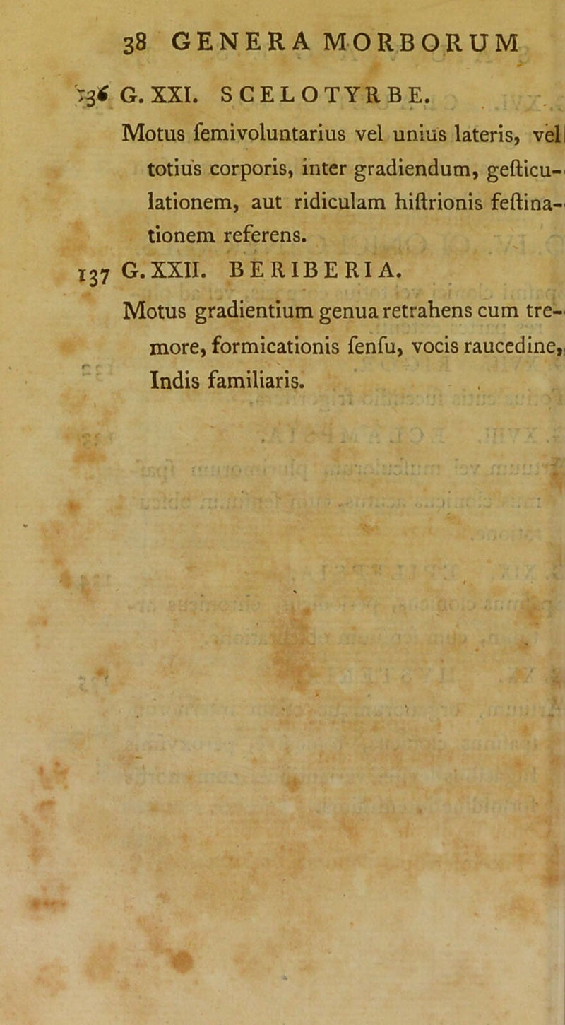 'T^tfG.XXI. SCELOTYRBE. Motus femivoluntarius vel unius lateris, veli totius corporis, inter gradiendum, gefticu- lationem, aut ridiculam hiftrionis feftina- tionem referens. 137 G.XXII. BERIBERIA. Motus gradientium genua retrahens cum tre- more, formicationis fenfu, vocis raucedine,, r* r y-» • • • Indis familiaris. , 'C