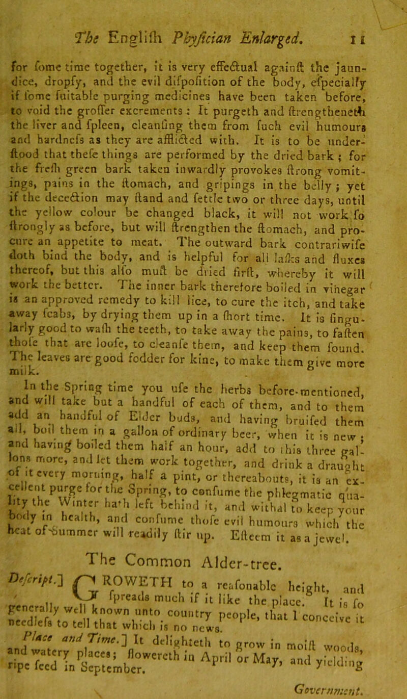 for fomc time together, it is very efFeAual againft the jaun- dice, dropfy, and the evil difpofitlon of the body, cfpecialfy if fome fuitable purging medicines have been taken before, to void the groffer excrements ; It purgeth and ftrengtheneth the liver and fpleen, cleanQng them from fuch evil humours and hardnefs as they are afflidled with. It is to be under- ftood that theCe things are performed by the dried bark ; for the frelh green bark taken inwardly provokes ftrong vomit- ings, pains in the llomach, and gripings in the belly; yet if the deceiilon may ftand and fettle two or three days, until the yellow colour be changed black, it will not work fo ilrongly as before, but will ftrengthen the ftomach, and pro- cure an appetite to meat. The outward bark contrariwife doth bind the body, and is helpful for all Ia/l:s and fluxes thereof, but this alio muit be dried iirft, whereby it will work the better. The inner bark therefore boiled in vinegar is an approved remedy to kill lice, to cure the itch, and take away fcabs, by drying them up in a (hort time. It is fingu- larly good to wadi the teeth, to take away the pains, to faften thole that are loofe, to cleanfe them, and keep them found The leaves are good fodder for kine, to make them give more milk. ® In the Spring time you ufe the herbs before-mentioned, and will take but a handful of each of them, and to them add an handful of Elder bud.s, and having bruifed them all, boil them in a gallon of ordinary beer, when it is new • and having boiled them half an hour, add to this three gal- lons more, and let them work together, and drink a drauoht of It every morning, half a pint, or thereabouts, it is an ex- cellent purge for the Spring, to confume the phlegmatic qua- lity the Winter ha^h left behind it, and withal fo keep your body m health, and confume thofc evil humours which the heat of-bummer will readily ftir up. Elleem it as a jewel. The Common Aldcr-trce. ^ROWETH to , realonabk h.lght, ,„,1 » 11 VtT ‘he place. It is fo generally well known unto country people, that 1 conceive it necdlefs to tell that which is no news P/4C, W T/W.] It delighteth to grow in moift woods ripe r-'O-S Government.