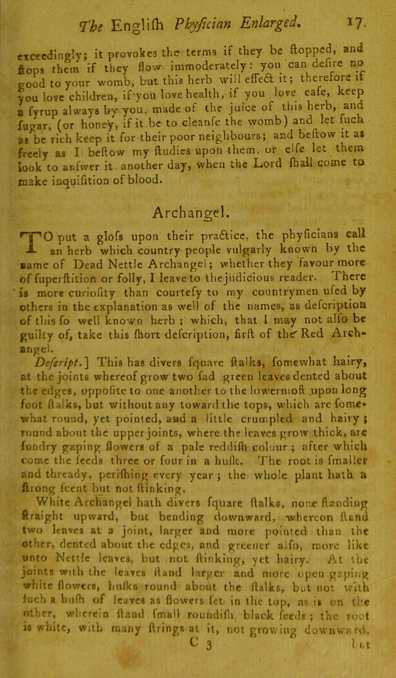 exceedingly; it provokes the-terms if they be ftopped, and ftops them if they flow immoderately: yon can dchre no good to your womb, but this herb will efTeft it; therefore if you love children, if you love health, if you love eafe, keep 8 fyrup always by you. made of the juice of this herb, and fugar, (or honey, if it be to cleanfe the womb) and let Inch as be rich keep it for their poor neighbours; and beftow it a* freely as I beftow my ftudies upon them, or elfe let them look to anfwer it^ another day, when the Lord (hall come to make inquifition of blood. Archangel. TO put a glofs upon their prafticc, the phyficians call an herb which country people vulgarly known by the ■amc of Dead Nettle Archangel; whether they favour more of fuperftition or folly, I leave to the judicious reader. There is more curiofity than courtefy to my countrymen ufed by others in the explanation as well of the names, as defeription of this fo well known herb ; which, that 1 may not alfo be guilty of, take this ftiort defeription, firft of the Red Arch- angel. Defeript.'\ This has divers fquare ftalks, fomewhat hairy, at the joints whereof grow two fad green leaves dented about the edges, oppolite to one anoth.er to the iowcrnioft .upon long foot ftalks, but without any toward the tops, which arc fomc* what round, yet pointed, and a little crumpled and hairy ; round about the upper joints, where the leaves grow thick, aie fundry gaping flowers of a pale reddifli colour ; after which come the feeds three or four in a hufle. The root is fmaller and thready, perifhing every year ; the whole plant hath a ftrong feent but not (linking. White Archangel hath divers fquare ftalks, none (landing ftraight upward, but bending downward, whereon Hand two leaves at a joint, larger and more pointed than the other, dented about the edges, and greener alfo, more like unto Nettle leaves, but not (linking, yet hairy. At the joints with the leaves (land larger and more open gaping white flowers, hufks round about the ftalks, but not with (uch a bufti of leaves as flowers fet in the top, ns is on the other, wherein (land fmall roundifli black feeds; the root is white, with many firings at it, not growing downward, 3 lit