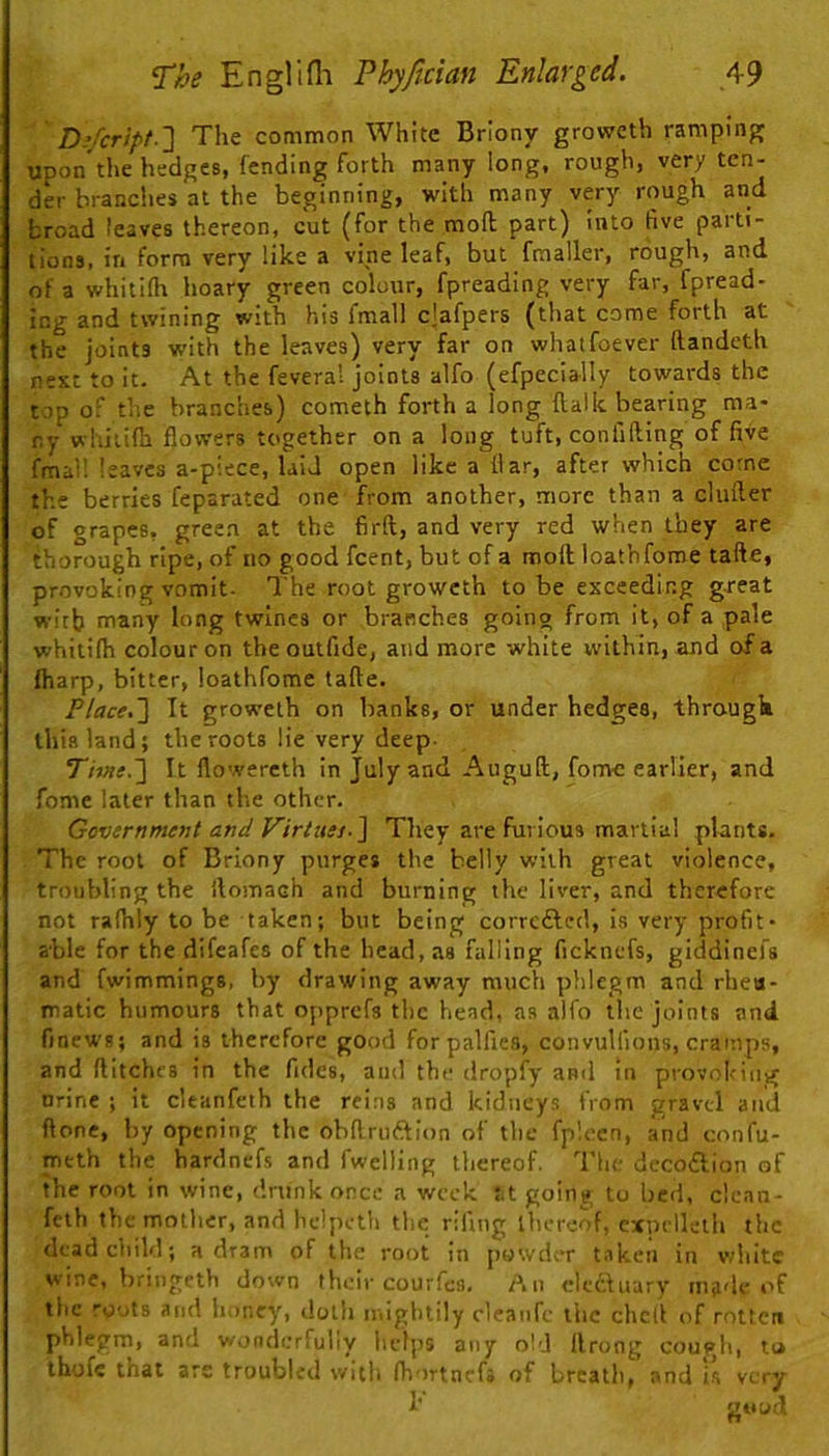 D;fcript.'\ The common White Briony groweth ramping upon tl>e hedges, fending forth many long, rough, very ten- der branches at the beginning, with many very rough and broad leaves thereon, cut (for the moft part) into five parti- tions, in form very like a vine leaf, but fmaller, rough, and of a whitifh hoary green colour, fpreading very far, fpread- ing and twining with his fmall clafpers (that come forth at the joints w’ith the leaves) very far on whatfoever ftandeth next to it. At the feveral joints alfo (efpecially towards the top of the branches) cometh forth a long ftallc bearing ma- ny w hitifh flowers together on a long tuft, confiding of five fmai! leaves a-picce, laid open like a fiar, after which come the berries feparated one from another, more than a cinder of grapes, green at the fird, and very red when they are thorough ripe, of no good feent, but of a mod loathforae tade, provoking vomit- The root groweth to be exceeding great wicb many long twines or branches going from it, of a pale whitifh colour on the outfide, and more white within, and of a fharp, bitter, loathfome tade. Place.'] It groweth on banks, or under hedges, through this land; the roots lie very deep- Tiwe.] It dowercth in July and Augud, fomc earlier, and fome later than the other. Government and Virtues-] They are furious martial plants. The root of Briony purges the belly with great violence, troubling the ilomach and burning the liver, and therefore not rafhly to be taken; bnt being corrc£led, is very profit- able for the difeafes of the head, as falling ficknefs, giddinefs and fwimmings, by drawing away much phlegm and rheu- matic humours that opprefs the head, as alfo the joints and finews; and is therefore good forpalfies, convuliious, cramps, and ditches in the fides, and the dropfy and in provol'iiig nrine ; it cltanfeth the reins and kidneys from gravel and done, by opening the obdruftion of the fp'.oen, and confu- meth the hardnefs and fweliing thereof. The decoftion of the root in wine, drunk once a wee-k St goiny to bed, clcan- feth the mother, and hdpeth the riling ihercof, expellelh the dead child; a dram of the root in powder taken in white wine, bringeth down their courfes. An electuary made of the roots and Inincy, doth mightily cleaufe the ched of rotten phlegm, and v/onderfully helps any old llrong cough, ta ihofc that are troubled with fhortnefs of breath, and i-s veiy I' good