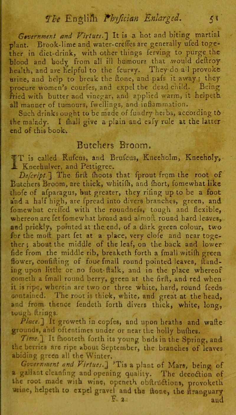 Gtvernment and Virtues.^ It i8 a hot and biting martial plant. Brook-lime and water-crefies are generally ufed toge- ther in diet-drink, with other things fcrving to purge the blood and body from all ill humours that .would deftroy health, and are helpful to the fcurvy. They do a>l provoke mine, and help to break the (lone, and pafs it away; they procure women’s ccurfes, and expel the dead child. Being fried with butter and vinegar, and applied warm, it helpeth. all manner of tumours, fwellings, and inflammation. Such drinks ought to be made of fundry herbs, according t6 the malady. I fhall give a plain and cafy rule at the latter end of this book. Butchers Broom. IT is called Rufcus, and Brufcus, Kneeholm, Kneeholys Kneehulver, and Pettigree. Defcript-I The firft (hoots that fprout frgm the root of Butchers Broom, are thick, v/hitifh, and ftiort, fomewhat like thofe of afparagus, but greater, they riling up to be a foot and a half high, are fprcad into divers branches, green, and fomewhat crefled with the roundnefs, tough and flexible, whereon are fet fomewhat broad and almoft round hard leaves, and prickly, pointed at the end, of a dark green colour, two for the molt part fet at a place, very clofe and near toge- ther; about the middle of the leaf, on the back and lower fide from the middle rib, breaketh forth a fmall witilh green flower, confining of fou-r fmall round pointed leaves, {land- ing upon little or no foot-ftalk, and in the place whereof cometh a fmall round berry, green at the firll, and red when it is ripe, wherein are two or three white, hard, round feeds oontained. The root is thick, white, and great at the head, and from thence fendeth forth divers thick, white, long, tough firings. Place.~\ It groweth In copfes, and upon heaths and waftc grounds, and oftentimes under or near the holly bulhes. Time.\ It fhooteth forth its young buds in the Spring, and the berries are ripe about September, the branches of leaves abiding green all the Winter. Government and Virtues.'} ’Tis a plant of Mars, being of a gallant cleanfing and opening quality. The decodtion of the root made with wine, openeih obftrUdtIons, provoketh ■utine, helpeth to expel gravel and lha ttone, the ftranguary F i. aud