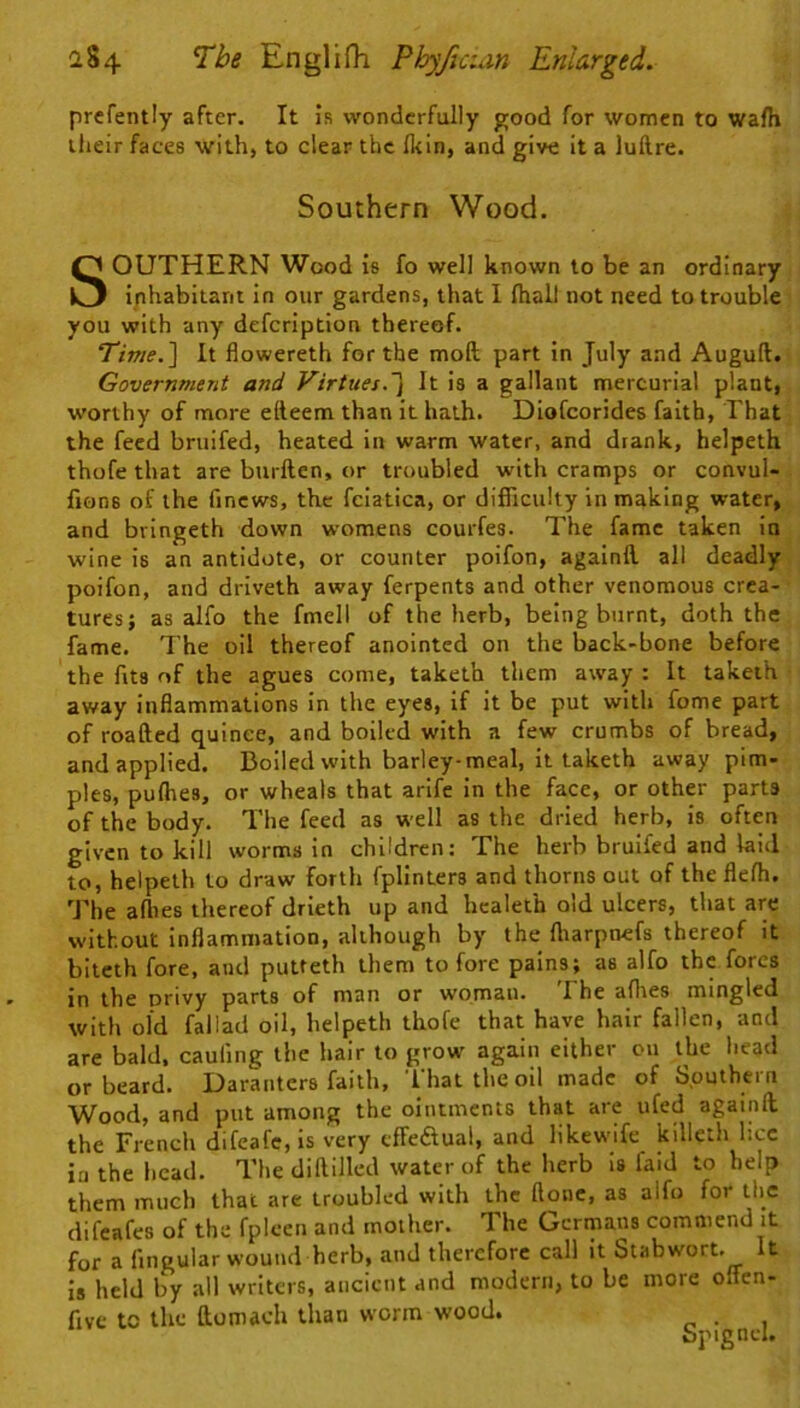 prefently after. It is wonderfully good for women to wafh ilieir faces with, to clear the Ikin, and give it a luftre. Southern Wood. SOUTHERN Wood is fo well known to be an ordinary inhabitant in our gardens, that I ftiall not need to trouble you with any defcription thereof. 77we. ] It flowereth for the mod part in July and Auguft. Government and Virtues.It is a gallant mercurial plant, worthy of more etteem than it hath. Diofcorides faith, That the feed bruifed, heated in warm water, and drank, helpeth thofe that are burden, or troubled with cramps or convul- fions of the fincws, the fciatica, or difficulty in making water, and bvingeth down womens courfes. The fame taken in wine is an antidote, or counter poifon, againd all deadly poifon, and driveth away ferpents and other venomous crea- tures j as alfo the fmell of the herb, being burnt, doth the fame. The oil thereof anointed on the back-bone before the fits of the agues come, taketh them away : It takeih away inflammations in the eyes, if it be put with fome part of roaded quince, and boiled with a few crumbs of bread, and applied. Boiled with barley-meal, it taketh away pim- ples, pudies, or wheals that arife in the face, or other parts of the body. The feed as well as the dried herb, is often given to kill worms in children; The herb bruifed and laid to, helpeth to draw forth fplinters and thorns out of the flefh. The allies thereof drieth up and healeth old ulcers, that are without inflammation, although by the fliarpnefs thereof it biteth fore, and putteth them to fore pains; as alfo the fores in the orivy parts of man or woman. The alhes mingled with old fallad oil, helpeth thofe that have hair fallen, and are bald, caufing the hair to grow again either on the head or beard. Daranters faith, I'hat the oil made of Sputhern Wood, and put among the ointments that are ufed againft the French difeafc,is very effedlual, and hkewife killeth lice in the head. The diftilled water of the herb is faid to help them much that are troubled with the flonc, as alfo for the difeafes of the fpleen and mother. The Germans commend it for a Angular wound herb, and therefore call it Stabwort. It is held by all writers, ancient and modern, to be more offen- five to the ftomach than worm wood. .