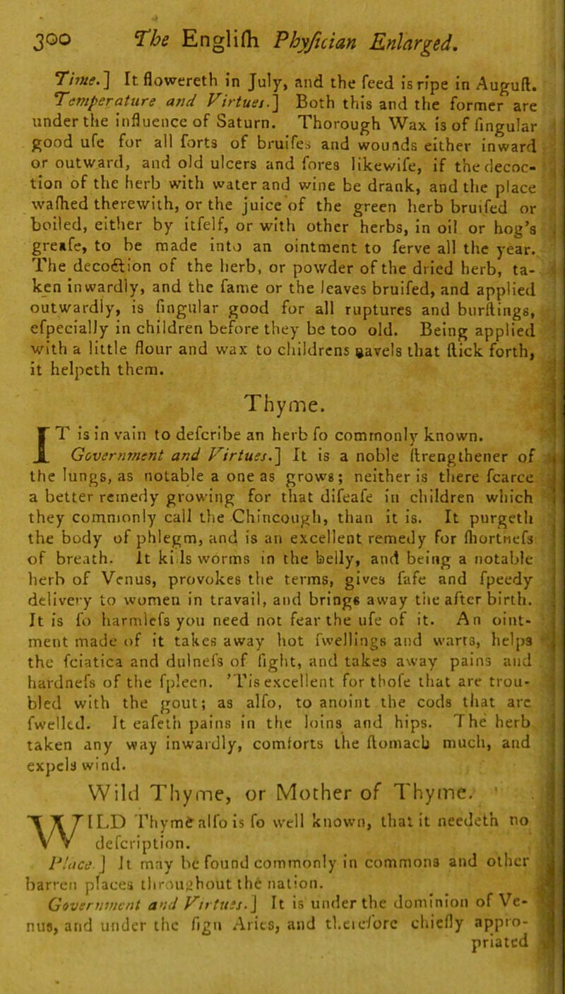 Tniie.] It flowereth in July, and the feed is ripe in Auguft. Temperature and Virtuet.\ Both this and the former are under the influence of Saturn. Thorough Wax is of Angular 1 good ufe for all forts of bruifes and wounds either inward i or outward, and old ulcers and fores likewife, if thedecoc- tion of the herb with water and wine be drank, and the place - wafhed therewith, or the juice of the green herb bruifed or i boiled, either by itfelf, or with other herbs, in oil or hog’s i greafe, to be made into an ointment to ferve all the year. The decoftion of the herb, or powder of the dried herb, ta- i ken inwardly, and the fame or the leaves bruifed, and applied outwardly, is Angular good for all ruptures and bnrftings, efpecially in children before they be too old. Being applied ^ with a little flour and wax to childrens gavels that flick forth, it helpeth them. Thy me. JT is in vain to defcribe an herbfo commonly known. Government and Virtues.'] It is a noble flrengthener of the lungs, as notable a one as grows; neither is there fcarcc a better remedy growing for that difeafe In children which they commonly call the Chincough, than it is. It purgeth the body of phlegm, and is an excellent remedy for (liortnefs of breath. It kids worms in the belly, and being a notable herb of Venus, provokes the terms, gives fafc and fpeedy delivery to women in travail, and brings away tiie after birth. It is fo harmlcfs you need not fear the ufe of it. An oint- ment made of it takes away hot fwellings and warts, helps • the fciatica and dulnefs of fight, and takes away pains and hardnefs of the fplecn. ’TIsexcellent for thofe that are trou- bled with the gout; as alfo, to anoint the cods that arc fweikd. It eafeth pains in the loins and hips. The herb taken any way inwardly, comlorts the flomacb much, and expels wind. Wild Thyme, or Mother of Thyine. ‘ WILD Thymtalfois fo well known, that it needeth no defcription. Place ] It may be found commonly in commons and other barren places tliroujabout tli6 nation. J Government and Virtues.] It is under the dominion of Ve- * nii8, and under the Agn Aries, and tl.eidorc chiefly appro- priated ’