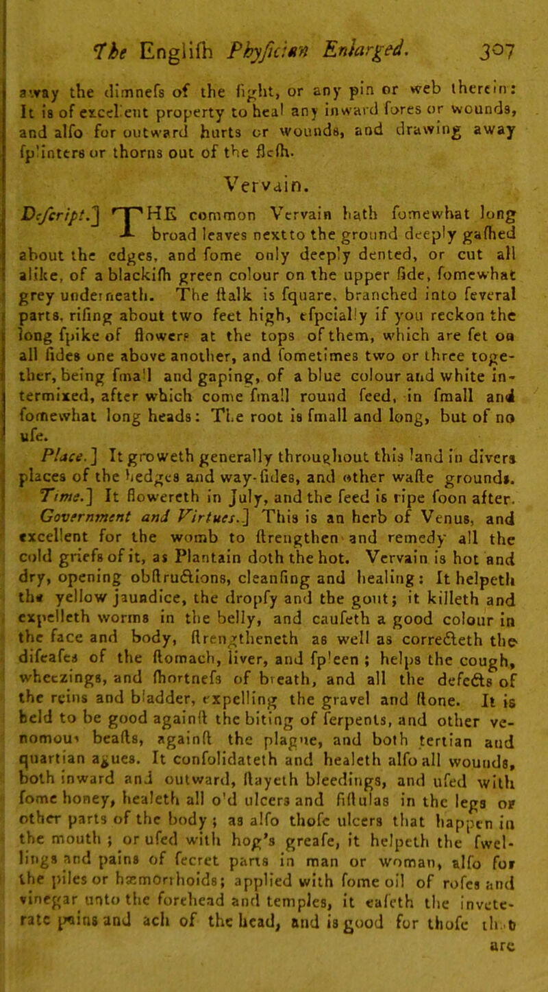 away the climnefs of the hpcht, or any pin or web therein: It 18 of ciLccheiit property to heal any inward fores or wounds, and alfo for outward hurts or wounds, and drawing away fp!intcrsor thorns out of the flcih. Vervain. Dcjcript,^ '' l'HE common Vervain hath fomewhat long broad leaves nextto the ground deeply gafhed about the edges, and fome only deeply dented, or cut all alike, of a blacklfli green colour on the upper fide, fomewhat grey underneath. The ftalk is fquare, branched into feveral parts, rifing about two feet high, efpcially if you reckon the long fpike of flowers at the tops of them, w'hich are fet oh all fides one above anoilier, and fometimes two or three toge- ther, being fmaM and gaping, of a blue colour and white in- termixed, after which come fmall round feed, in fmall and fomewhat long heads; The root Is fmall and long, but of no ufe. Place. ] It groweth generally throughout this land In divers places of the hedges and way-fides, and other wafte grounds. Ttme.l It fiowereth in July, and the feed Is ripe foon after. Government and Virtues.^ This is an herb of Venus, and excellent for the womb to ftreiigthcn and remedy all the cold griefs of it, as Plantain doth the hot. Vervain is hot and dry, opening obflruftions, cleanfing and healing: It helpeth the yellow jaundice, the dropfy and the gout; it killeth and cxpcileth worms in the belly, and caufeth a good colour in the face and body, ftrengtheneth as well as corredleth the difeafes of the llomach, liver, and fpleen ; helps the cough, whcczings, and fliortnefs of breath, and all the defcAs of the reins and bladder, expelling the gravel and (lone. It is held to be good againll the biting of ferpenls, and other ve- nomoui beads, ngainfl the plague, and both tertian and quartian a^ues. It confolidateth and healcth alfo all wounds, both inward and outward, ftaycih bleedings, and ufed with fome honey, healeth all o'd ulcers and fiflulas in the legs of other parts of the body ; as alfo thofc ulcers that happen in the mouth ; or ufed with hog’s greafe, it helpeth the fwel- liiigs and pains of fecret pans in man or woman, alfo foi the ]>iles or hsemoriholds; applied with fome oil of rofes and vinegar unto the forehead and temples, it ealcth the invete- rate pains and ach of the head, and is good for thofc ih. t) arc
