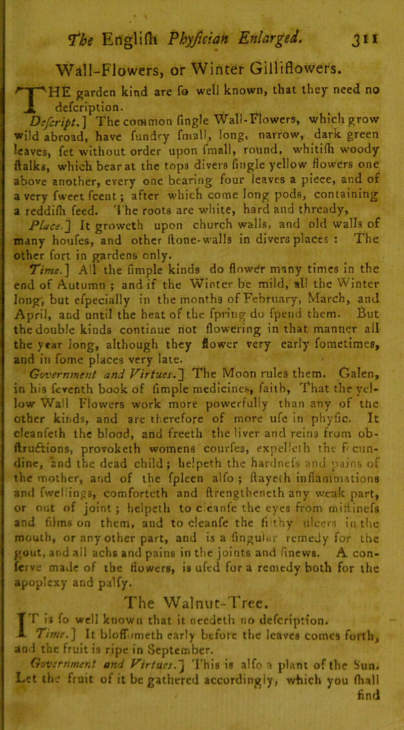 Wall-Flowers, or Winter Gilliflowers. The garden kind are fa well known, that they need no defcription. Dtfcript.] The common fingle Wall-Flowers, which grow wild abroad, have fundry fmall, long, narrow, dark green leaves, fet without order upon fmall, round, whitHh woody ftalks, which bear at the tops divers fingle yellow flowers one above another, every one bearing four leaves a piece, and of a very fweet fcent; after which come long pods, containing a reddifli feed. 'I'he roots are white, hard and thready, Place,'\ It groweth upon church walls, and old walls of many houfes, and other Hone-walls in divers places : The other fort in gardens only. TimeJ\ All the Ample kinds do flower many times in the end of Autumn ; and if the Winter be mild, all the Winter long', but efpecially in the months of February, March, and April, and until the heat of the fpring do fpend them. But the double kinds continue riot flowering in that manner all the year Jong, although they flower very early fometimes, and in fome places very late. Government and Virtuet.~] The Moon rules them. Galen, in his feventh book of Ample medicines, faith, That the yel- low Wall Flowers work more powerfully than any of the other kinds, and are therefore of more ufe in phyfic. It cleanfeth the blood, and freeth the liver and reins from ob- ftruftions, provoketh womens courfes, expellcth the hcun- dinc, and the dead child; helpeth the hanlnels and pains of the mother, and of the fpleen alfo ; ftayeth inflammations and fwellings, comforteth and ftrengtheneth any weak part, or out of joint; helpeth to c'eanfe the eyes from millinefs and films on them, and to cleanfe the li’ihy ulcers in the mouth, or any other part, and is a Angular remedy for the gout, and all achs and pains in the joints and finews. A con- fcfve made of the flowers, is ufed fora remedy both for the apoplexy and palfy. The Walnut-Tree. IT is fo well known that it needeth no defcription. Time.'\ It bloffometh early before the leaves comes forth, and the fruit is ripe in September. Government and Virtuct.'^ 'I'his is alfo a plant of the Sun. Let the fruit of it be gathered accordingly, which you fhall find