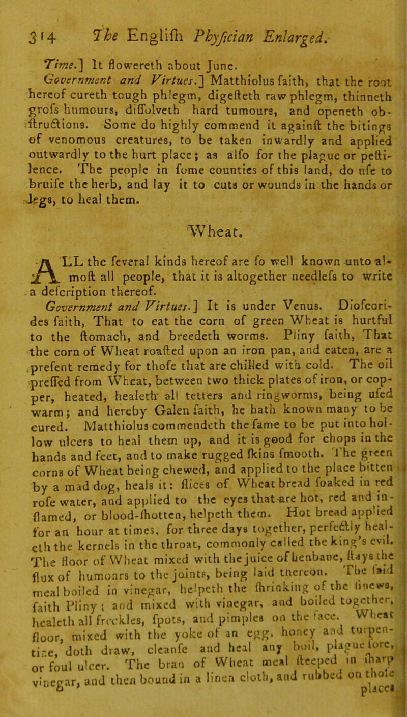 TimeJ] It flow’creth about June. Government and Matthiolus faith, that the root hereof cureth tough phlegm, digetteth raw phlegm, thinneth grofs humours, diffolveih hard tumours, and openeth ob- ftruftions. Some do highly commend it againft the bitings of venomous creatures, to be taken inwardly and applied outwardly to the hurt place ; as alfo for the plague or petti- lence. The people in feme counties of this land, do ufc to bruife the herb, and lay it to cuts or wounds In the hands or legs, to heal them. Wheat. All the feveral kinds hereof are fo well known unto aU moft all people, that it is altogether ncedlefs to write a defeription thereof. Government and Virtues-'\ It Is under Venus. Dlofcori- des faith, That to eat the corn of green Wheat is hurtful to the ftomach, and breedeth worms. Pliny faith, That the corn of Wheat roafted upon an iron pan, and eaten, are a prefent remedy for thofe that are chiHed with cold. The oil preffed from Wheat, between two thick plates of iron, or cop- per, heated, healeth all tetters and ringworms, being ufed warm; and hereby Galen faith, he bath known many to be cured. Matthioius commendeth the fame to be put Into hol- low ulcers to heal them up, and it Is good for chops in the hands and feet, and to make rugged fkins fmooth. I'he green corns of Wheat being chewed, and applied to the place bitten ■ by a mad dog, heals it; llices of Wheat bread foaked In red rofe water, and applied to the eyes thature hot, red and in- flamed, or blood-lhotten, hclpeth them. Hot bread applied for an hour at times, for three days together, pcrfedlly heal- eth the kernels in the throat, commonly called the king’s evil. The floor of Wheat mixed with the juice of henbane, flays the flux of humonrs to the joints, being laid tliereon. The laid meal boiled In vinegar, helpeth the fhrinking of the linews, faith Pliny; and mixed with vinegar, and boiled together, healeth all freckles, fpots, ami pimples on the tacc. Wheat floor, mixed with the yoke of an egg. honey and turpen- tine. doth draw, cicanfe and heal any boil, p ague fore, or foul ulcer. The bran of Wheat meal ftceped m fharp vinegar, and then bound in a linen cloth, and rubbed on thole