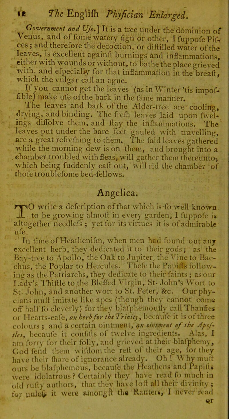 Government and U/e.] It is a tree under the ddminion of V enus, and oi fome watery fign or other, I fuppofe Pifw ces; and therefore the decodioii, or diftilled water of the leaA^es, is excellent againft burnings and inflammations, either with wounds or without, to bathe the place grieved with, and efpeciallj' for that inflammation in the breaft^ which the vulgar call an ague. If you cannot get the leaves (as in Winter’tis impof- Ilblej make ul'e of the bark in the fame manner, 1 he leaves and bark of the Alder-tree are cooling, drying-, and binding. The frefli leaves .laid upon fwel- ings diflblve them, and flay the inflammations. The leaves put under the bare 'feet gauled with travelling, are a great refrefhino- to them. The laid leaves gathered while the morning dew is on them, and brought into a chamber troubled with fleas, will gather them thereunto-, which being fuddenly call out, will rid the chamber of thole troublefome bed-fellorvs. O write-a defeription of that which is-fo well known to be growing almoll in every garden, 1 fuppofe is altogether needlefs ; yet for its virtues it is of admirable In time of Heathenifm, when men had found out any excellent herb, they dedicated it to their gods; as the Bay-tree to Apollo, the Oak to .lupitcr, th.e \'ine to Bac- chus, the Poplar to Hercules, 'i'hefe the Papilis follow- ing as the Patriarchs, they dedicate to their faints ; as our Lady’s Thillle to the Blefltd Virgin, fit- .lohn’s Wort to St. John, and another wort to St. Peter, &c. Ourphy- cians mull imitate like apes (though they cannot come off half lb cleverly) for they blafphemouily callThanfies or l letiits-eni'e, an ^er^/hr tie Tr/n/fj, hecaufe it is of three colours ; and a certain ointment, an ointment of the Aprf- tles, becaufe it confills of twelve ingredients. Alas, I am forry for their folly, and grieved at their blafphemy, God fend them wifdom the rell of their age, for they h.avc their fliare of ignorance already. Oh 1 W hy mull ours be blafpliemous, becaufc the Heathens and Papilis were idolatrous ? Certainly they have read fo much in old rully authors, that they have loll all their divinity ; foy uule)^ it were ainongft ih« Ranters, 1 never rea<i Angelica. ufe.