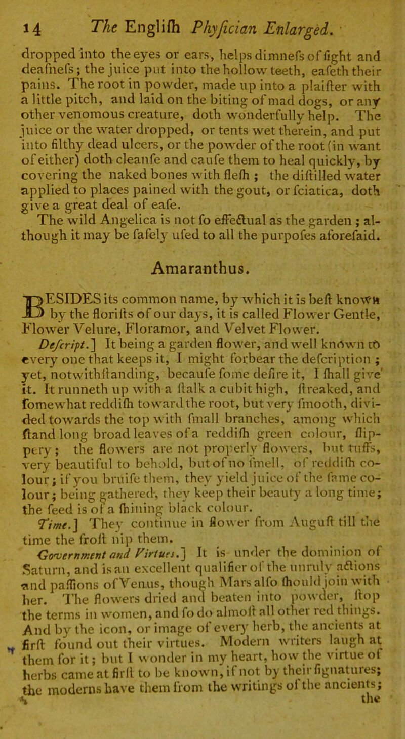 dropped into the eyes or ears, helps dimnefs of fight and deafnefs; the juice put into the hollow teeth, eafeth their pains. The root in powder, made up into a plaifter with a little pitch, and laid on the biting of mad dogs, or any other venomous creature, doth wonderfully help. The juice or the water dropped, or tents wet therein, and put into filthy dead ulcers, or the powder of the root (in want of either) doth cleanfe and caufe them to heal quickly, by covering the naked bones with flefii ; the diftilled water applied to places pained with the gout, or fciatica, doth give a great deal of ea(e. The wild Angelica is not fo efFeflual as the garden; al- though it may be fafel}- ufed to all the purpofes aforefaid. Araaranthus. Besides its common name, by which it is l>eft kno\Vn by the florilts of our days, it is called Flower Gentle, Flower Velure, Floramor, and Velvet Flower. De/cripi.'\ It being a garden flower, and well known tp every one that keeps it, I might forbear the defcription ; yet, notwithflanding, becaufe fome defire it, I (hail give' it. It runneth up with a (lalk a cubit high, lireaked, and fomewhat reddifti toward the root, but very fmooth, divi- ded towards the top with fmall branches, among which ftand long broad leaves of a reddilh green colour, flip- pery; the flowers are not properly flowers, but tuffs, very beautiful to behold, but of no iinell, of reddifh co- lour ; if you bruife them, they yield juice of the fame co- lour; being gathered, they keep their beauty a long time; the feed is ol a (hining black colour. Time.] They continue in flo\\ er from Auguft till the time the froll nip them. Government and Virtues.] It is under the dominion of .Saturn, and is an excellent qualifier of the unruly aflions ^ind paflions of Venus, though hlarsalfo (houldjoin with her. 'Ehe flotvers dried and beaten into powder, flop the terms in women, and fo do almoll all other red things. And by the icon, or image of ever)' herb, the ancients at firll found out their virtues. Modern writers laugh at them for it; but 1 wonder in my heart, how the virtue of herbs came at firll to be known, if not by theii fignatures; the moderns have them from the writings ol the ancients; *i the