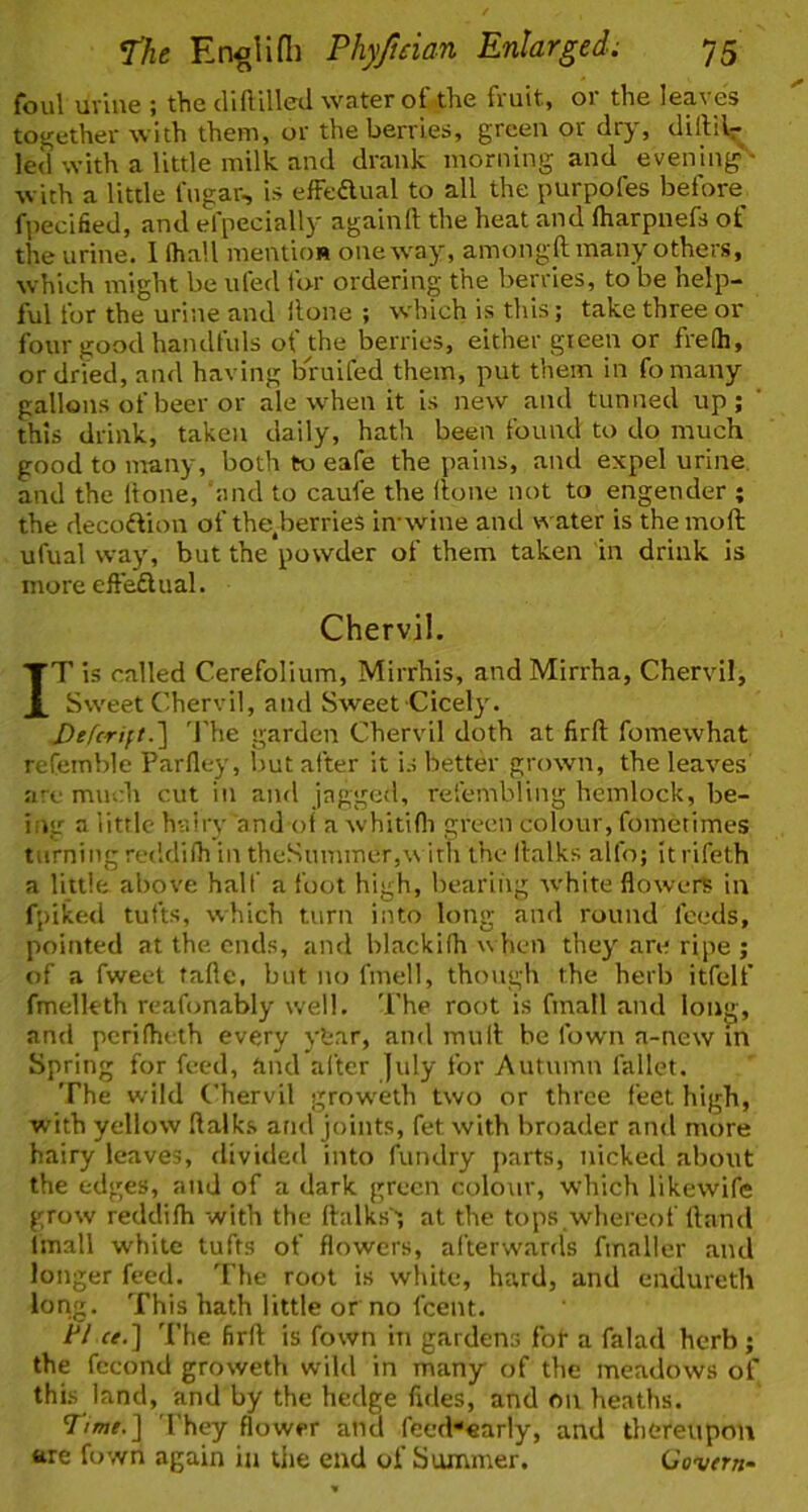 foul urine ; the diftilled water of the fruit, or the leaves together with them, or the berries, green or dry, dillilr led with a little milk and drank morning and evening' with a little fngar, is efFedual to all the purpofes before^ fpecified, and efpecially againft the heat and (harpnefs of the urine. I (hall mention oireway, amongdl many others, which might be ufed firr ordering the berries, to be help- ful for the urine and Hone ; which is this; take three or four good handfuls of the berries, either gieen or fre(h, or dried, and having bruifed them, put them in fomany gallons of beer or ale when it is new and tunned up; this drink, taken daily, hath been found to do much good to litany, both to eafe the pains, and expel urine, and the itone, and to caufe the ilone not to engender ; the decodion of the^berries imwine and water is themoft ufual way, but the powder of them taken in drink is more effeftual. Chervil. IT is called Cerefolium, Mirrhis, and Mirrha, Chervil, Sweet Cihervil, and Sweet Cicely. Defcrift.'] 'I'he garden Chervil doth at firft fomewhat reCemble Parfley, liut after it is better grown, the leaves .are much cut in and jagged, rel’embling hemlock, be- iiig a little hairy andof a whitifli green colour, fometimes turning reddifh in theSummer,\s irh the llalks alfo; it rifeth a little above half a foot high, bearing white flowers in fpiketl tufts, which turn into long and round feeds, pointed at the ends, and blackifh w hen they are ripe ; of a fweet tafle, but no fmell, though the herb itfelf fmelleth reafonably well. 'I'he root is fmall and lon^-, and pcrifhe.th every ybar, and muit be fow'n a-new m Spring for feed, find after july for Autumn fallet. 'Fhe wild Chervil grow'Cth two or three feet high, with yellow ftalks and joints, fet with broader and more hairy leaves, divided into fundry parts, nicked about the edges, and of a dark green colour, which likewife grow reddifh with the ftalks', at the tops.whereof Hand Imall while tufts of flowers, afterwards finaller and longer feed. 'I'he root is white, hard, and endureth long, 'fhis hath little or no feent. ti ce.] 'I’he firH is fown in gardens for a falad herb; the fccond groweth wild in many of the meadows of this land, and by the hedge fides, and on heaths. Time.] They flower and feed^early, and thereupon are fown again in the end of Summer. Govern-