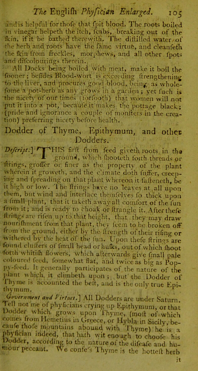 helpful forthofe that fpit blood. The roots boiled in vinegtir helpeth the itch, fcabs, breaking out of the Ikin, if it be bathed therewith. The dillilled water^of the herb and robts have the fame virtnfe, and cleanfeth the (kin from freckles, morphews, and all other fpots and (irfcolourings therein. All Docks being boiled with meat, make it boil the fooner; befides Blbod-wbrt is exceeding Itrengthening to the liver, and procures gotul blood, being as whole- fome a pot-herb as any .grows in a garden ; yet fuch is the niect}- of our tirnes (forfpoth) that women will not put it into a pot, becaufe it makeS; the pottage black; (pride and ignorance a couple of monfters in the crea- tion) preferring nicety before health. Dodder pf Thyme, Epithymum, and otheB Dodders. ’'HIS fifft from feed giveth roots, in tha 1 grounsi, which fliooteth foith threads or (Ifings, grofler or finer as the property of the plant wherein it groweth, and the climate doth fu.ffer, creep- ing and fpreading on that plant whereon it fafieneth, be it high or low. '1 he llrings have no leaves at ,all upon them, but wind aiid interlace ihemfelves fo thick upon a finall plant, that it taketh away all comfort of the fun Irom it; and is ready to t-hoak or llrangle it. Afterthefe llrings are rifen up to that height, that I they may draw iiourifhmcnt from that plant, they feem to he broken ofF from the ground, cither by the fl'rength of their rifing or withered by the heat of the fun. Upon thefe Ilrino-s are found diilfers of fmall headorhulks, out of which’lhoot forth whitilh flowers, which afterwards give fmall pale coloured feed, fomcwhal flat, and twice as bigas'Pop- in-fe<-d. It generally participates of the nature of the plant uhiph it climbeth upon; but the Dodder of 1 h^ me is accovintcd the bell, and is the only true Kpi- tbymum. ^ Cogjirmntnt and Virtuti.'] All Dodders arc under Saturn. Tell not me ofphyficians crying up Kpithymum, or that Dodder which grows upon Thyme, (molt of which colnes from Hcmeiius in Greece, or Hybla in Sicily, be- caufe thofe mountains abound with Thyme) he is a phyfidan irideed, that hath wit enough to choofe his Dodder, according to the nature of the difeafe and. hu- Tuour peccant, ’^ e confe's Ihyme is the hotted herb it