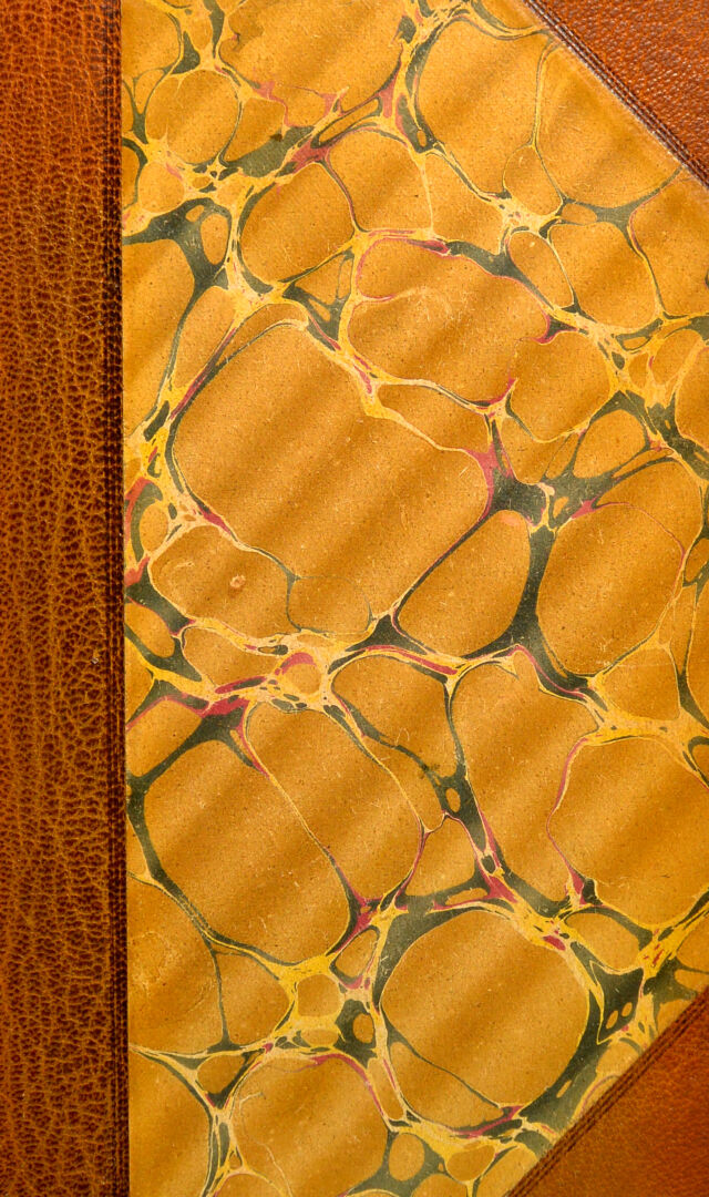 No text description is available for this image