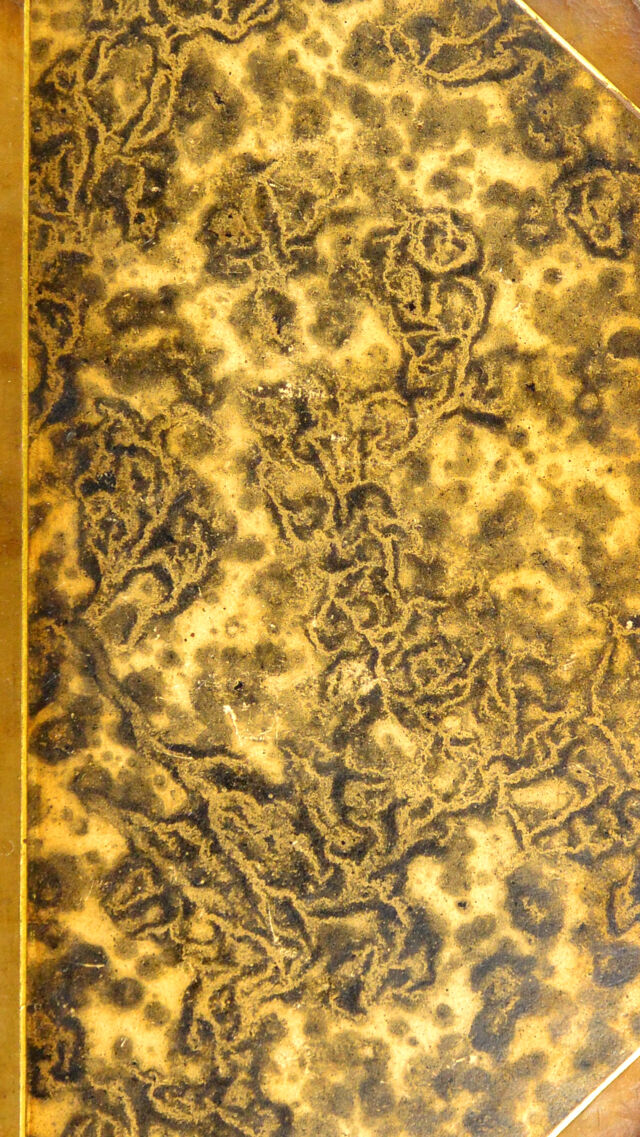 digitised image 1