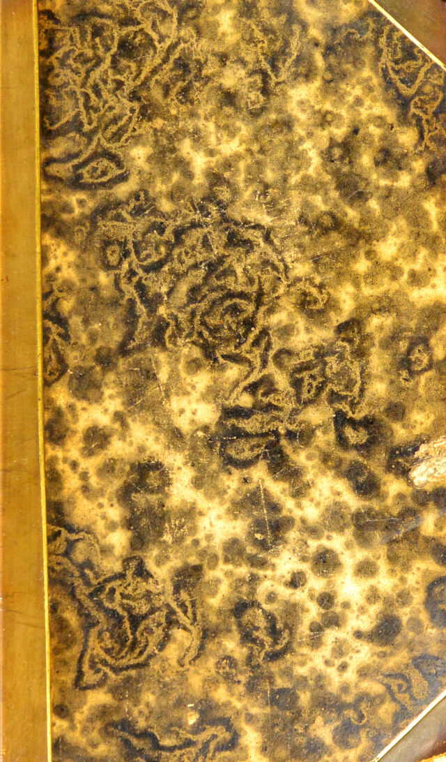 digitised image 1