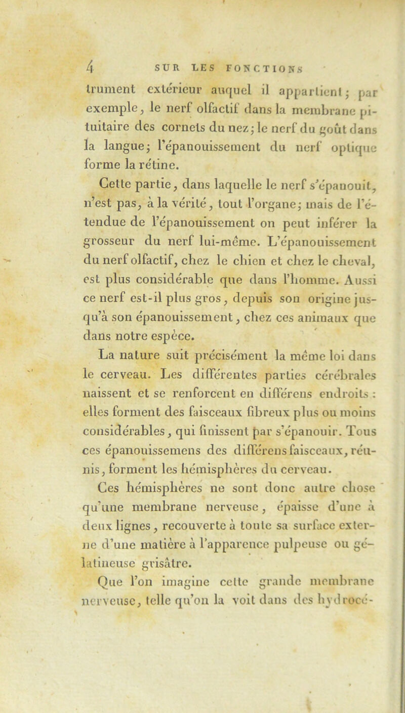 trament extérieur auquel il appartient ; par exemple, le nerf olfactif dans la membrane pi- tuitaire des cornets du nez ; le nerf du goût dans la langue; l’épanouissement du nerf optique forme la rétine. Cette partie, dans laquelle le nerf s’épauouit, n’est pas, à la vérité, tout l’organe; mais de l’é- tendue de l’épanouissement on peut inférer la grosseur du nerf lui-même. L’épanouissement du nerf olfactif, chez le chien et chez le cheval, est plus considérable que dans l’homme. Aussi ce nerf est-il plus gros, depuis son origine jus- qu’à son épanouissement, chez ces animaux que dans notre espèce. La nature suit précisément la meme loi dans le cerveau. Les différentes parties cérébrales naissent et se renforcent en différons endroits : elles forment des faisceaux fibreux plus ou moins considérables, qui finissent par s’épanouir. Tous ces épanouissemens des différens faisceaux, réu- nis, forment les hémisphères du cerveau. Ces hémisphères ne sont donc autre chose qu'une membrane nerveuse, épaisse d'une à deux lignes, recouverte à toute sa surface exter- ne d’une matière à l’apparence pulpeuse ou gé- latineuse grisâtre. Que l’on imagine celte grande membrane nerveuse, telle qu’on la voit dans des hydrocé-