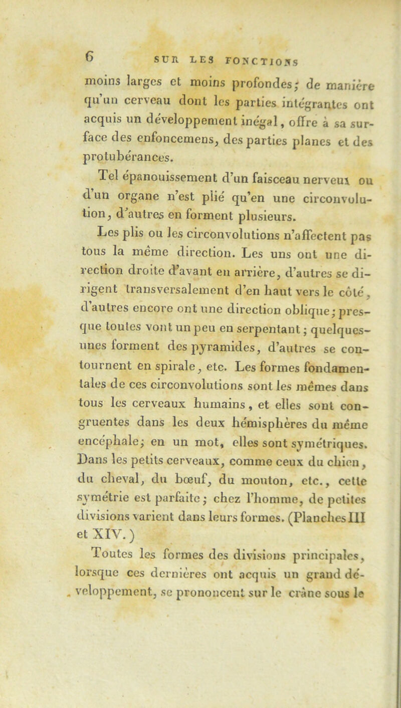 moins larges et moins profondes; de manière qu un cerveau dont les parties intégrantes ont acquis un développement inégal, offre à sa sur- face des enfoncemens, des parties planes et des protubérances. Tel épanouissement d’un faisceau nerveux ou d un organe n’est plié qu’en une circonvolu- tion ; d autres en forment plusieurs. Les plis ou les circonvolutions n’affectent pas tous la meme direction. Les uns ont une di- rection droite d’avant en arrière, d’autres se di- rigent transversalement d’en haut vers le côté, d’autres encore ont une direction oblique; pres- que toutes vont un peu en serpentant ; quelques- unes forment des pyramides, d’autres se con- tournent en spirale, etc. Les formes fondamen- tales de ces circonvolutions sont les memes dans tous les cerveaux humains, et elles sont con- gruentes dans les deux hémisphères du même encéphale; en un mot, elles sont symétriques. Dans les petits cerveaux, comme ceux du chien , du cheval, du bœuf, du mouton, etc., cette symétrie est parfaite; chez l’homme, de petites divisions varient dans leurs formes. (Planches III et XIY. ) Toutes les formes des divisions principales, lorsque ces dernières ont acquis un grand dc- - veloppement, se prononcent sur le crâne sous le