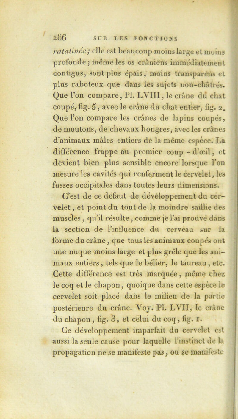 ratatinée; elle est beaucoup moins large et moins profonde; même les os crâniens immédiatement contigus, sont plus épais, moins transparens et plus raboteux que dans les sujets non-châtrés. Que l’on compare, PL LVIII, le crâne du chat coupé, fig. 5, avec le crâne du chat eutier, fig. 2. Que l’on compare les crânes de lapins coupés, de moutons, de chevaux hongres, avec les crânes d’animaux mâles entiers de la même espèce. La différence frappe au premier coup - d’œil, et devient bien plus sensible encore lorsque l’on mesure les cavités qui renferment le cervelet, les fosses occipitales dans toutes leurs dimensions. C’est de ce defaut de développement du cer- velet, et point du tout de la moindre saillie des muscles, qu’il résulte, comme je l’ai prouvé dans la section de l’influence du cerveau sur la forme du crâne, que tous les animaux coupés ont une nuque moins large et plus grêle que les ani- maux entiers, tels que le bélier, le taureau, etc. Cette différence est très marquée, même chez le coq et le chapon, quoique dans cette espèce le cervelet soit placé dans le milieu de la partie postérieure du crâne. Yoy. PL LYII, le crâne du chapon, fig. 3, et celui du coq, fig. r. Ce développement imparfait du cervelet est aussi la seule cause pour laquelle l’instinct de la propagation ne se manifeste pas, ou se manifeste