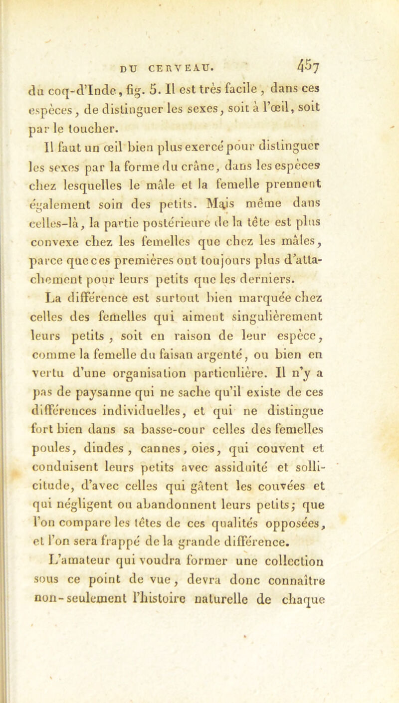 du coq-d’Inde, fig. 5. Il est très facile , dans ces espèces, de distinguer les sexes, soit à l’œil, soit par le toucher. Il faut un œil bien plus exercé pour distinguer les sexes par la forme du crâne, dans les espèces chez lesquelles le mâle et la femelle prennent également soin des petits. M^is même dans celles-là, la partie postérieure de la tête est plus convexe chez les femelles que chez les mâles, parce que ces premières ont toujours plus d’atta- chement pour leurs petits que les derniers. La différence est surtout bien marquée chez celles des femelles qui aiment singulièrement leurs petits , soit en raison de leur espèce, comme la femelle du faisan argenté, ou bien en vertu d’une organisation particulière. Il n’y a pas de paysanne qui ne sache qu’il existe de ces différences individuelles, et qui ne distingue fort bien dans sa basse-cour celles des femelles poules, dindes, cannes, oies, qui couvent et conduisent leurs petits avec assiduité et solli- citude, d’avec celles qui gâtent les couvées et qui négligent ou abandonnent leurs petits,- que l’on compare les têtes de ces qualités opposées, et l’on sera frappé de la grande différence. L’amateur qui voudra former une collection sous ce point de vue, devra donc connaître non-seulement l’histoire naturelle de chaque