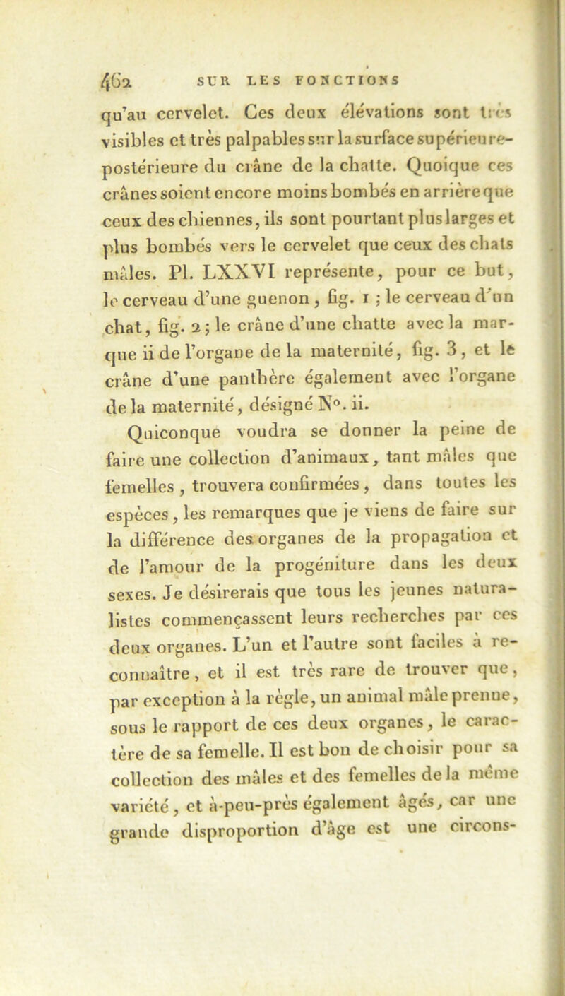 qu’au cervelet. Ces deux élévations sont très visibles et très palpables sur la surface supérieure- postérieure du crâne de la chatte. Quoique ces crânes soient encore moins bombés en arrière que ceux des chiennes, ils sont pourtant plus larges et plus bombés vers le cervelet que ceux des chats mâles. PI. LXXVI représente, pour ce but, le cerveau d’une guenon, fig. i ; le cerveau d'un chat, fig. a; le crâne d’une chatte avec la mar- que ii de l’organe de la maternité, fig. 3, et le crâne d’une panthère également avec l’organe delà maternité, désigné N°. ii. Quiconque voudra se donner la peine de faire une collection d’animaux, tant mâles que femelles , trouvera confirmées , dans toutes les espèces, les remarques que je viens de faire sur la différence des organes de la propagation et de l’amour de la progéniture dans les deux sexes. Je désirerais que tous les jeunes natura- listes commençassent leurs recherches par ces deux organes. L’un et l’autre sont lacdes à re- connaître, et il est très rare de trouver que, par exception à la règle, un animal mâleprenue, sous le rapport de ces deux organes, le carac- tère de sa femelle. Il est bon de choisir pour sa collection des mâles et des femelles delà même variété, et à-peu-près également âgés, car une grande disproportion d’age est une circons-