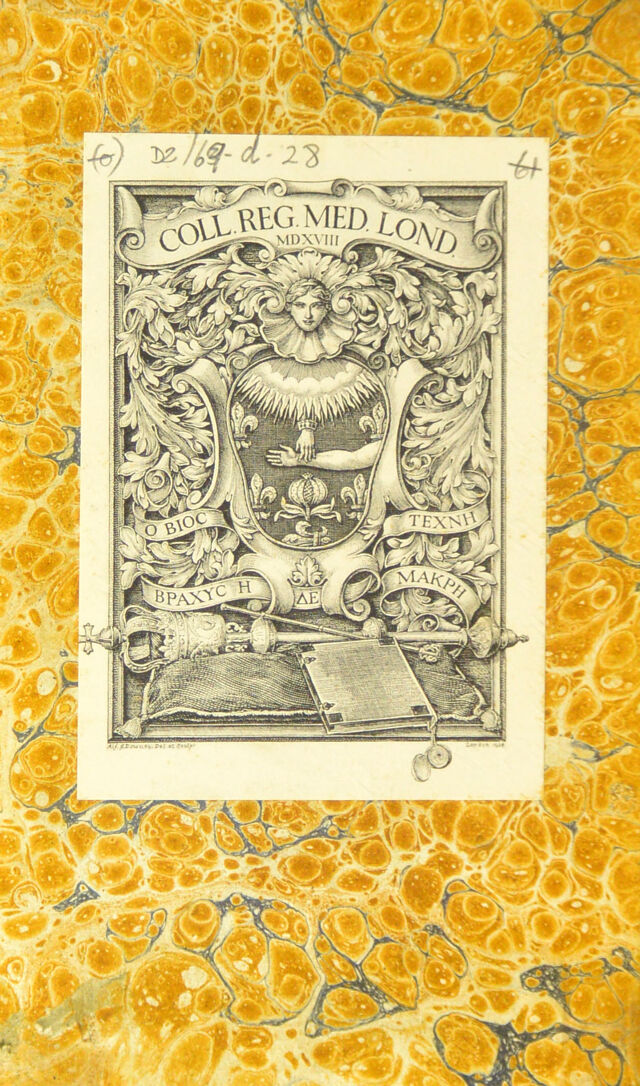 digitised image 2