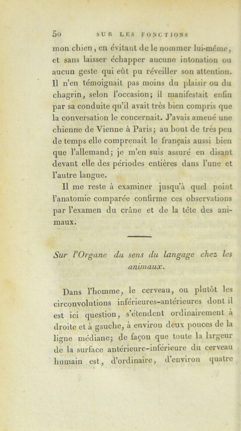 mon chien, en évitant de le nommer lui-même, et sans laisser échapper aucune intonation ou aucun geste qui eût pu réveiller son attention. Il n’en témoignait pas moins du plaisir ou du chagrin, selon l’occasion; il manifestait enfin par sa conduite qu’il avait très bien compris que la conversation le concernait. J’avais amené une chienne de Vienne à Paris; au bout de très peu de temps elle comprenait le français aussi bien que l’allemand; je m’en suis assuré en disant devant elle des périodes entières dans l’une et l’autre langue. Il me reste à examiner jusqu’à quel point l’anatomie comparée confirme ces observations par l’examen du crâne et de la tête des ani- maux. Sur l’Organe du sens du langage chez les animaux. Dans l’homme, le cerveau, ou plutôt les circonvolutions inférieures-antérieures dont il est ici question, s’étendent ordinairement à droite et à gauche, à environ deux pouces de la ligne médiane; de façon que toute la largcui de la surface anlérieure-inférieure du cerveau humain est, d’ordinaire, denviron quatre i