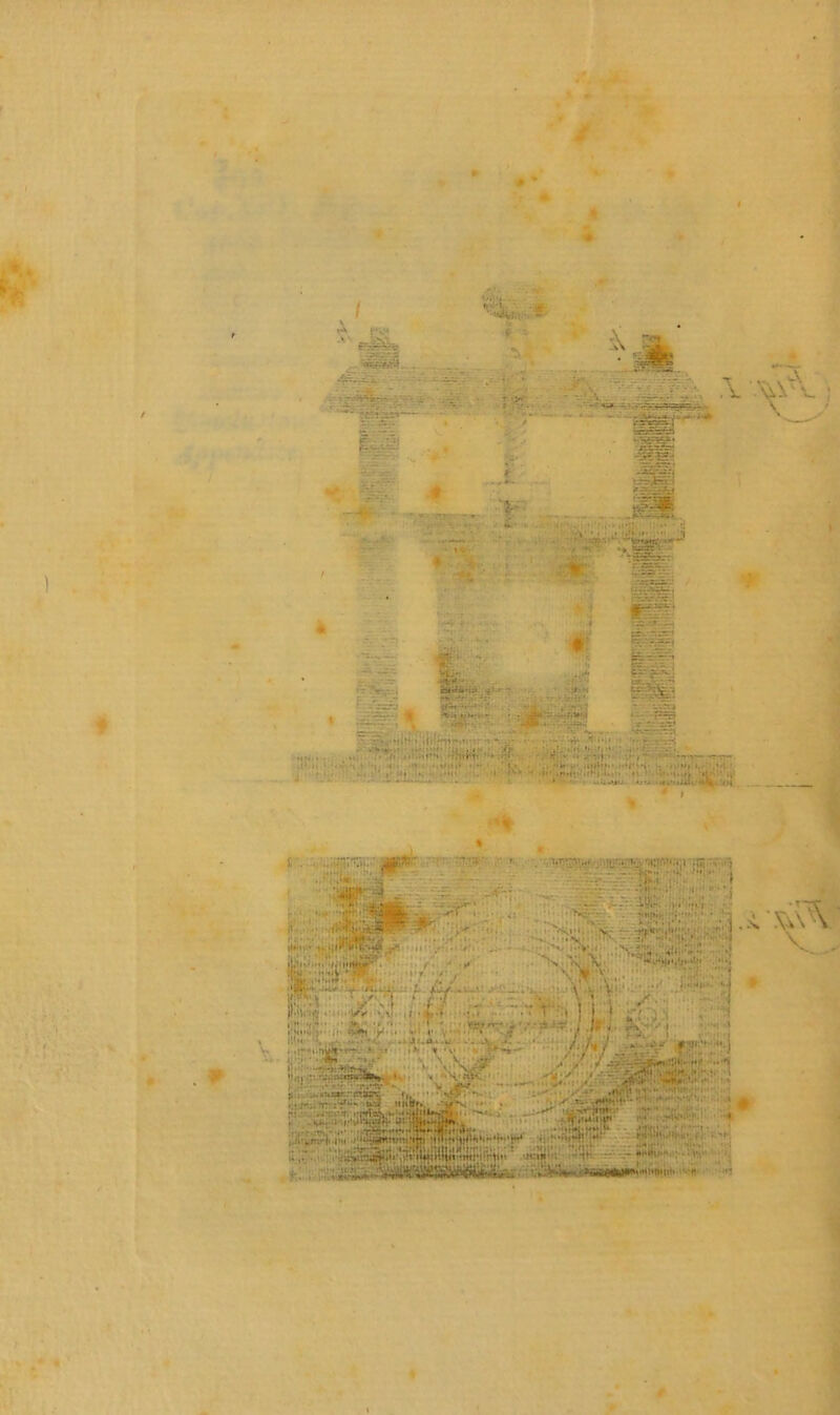 ’-.'i • •4,; «ssiw. ^ ; A .V\V \ X vJ-3» v>;,,. ';„r,''*!Ì,: ' 1 •- -■ HJ* #“• i1 r * f*i:'■*'■ ■**; J/*1 .. # ■#f ri-.-. r.-V.W'j fr- _- ■; r ,, -», ... •.. .- i|i*.*n»i*»*;-sr t.». *r- “ •• • jtS . ■ ■; - .  1, • . ■ I • -I < -i -.««kilt 1 - ’ ».• .. ^ . ' ,• Ut . 1 -T-l— -T — - . •>* V‘-,..{»»'» *'**•• ; ••••**» ' .?••• \ - »■• .fi. IV «• ..... il ., « Wipfe l Sm ■ & l.r ' ' '' li?; ■li. ,;KS. ir -7^ rtr v.:v.. ’ • w vv •> « * |p# S • ' i. - - ' . X-X - -rr: . .'M V,\4sv.;A>i •! ' ' V; • '  ,;j ,.T ■ •• — •/ *; rv; ' ; . n. te .r~‘v—X. _ p . >.»i4«»rera« f, • • v«-5 , . r- -M uBr. -JN • .-.-murr , . vù-'.^irSln . .. m,** , .. .r.-j- i'.i . , ■. -y .«► «ir - * walr.;-;.- \vJ\ V ..