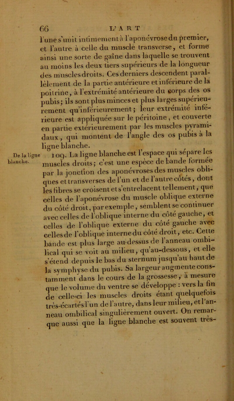 l’une s’unit intimement à l’aponévrose du premier, et l’autre à celle du muscle transverse, et forme ainsi une sorte de gaîne dans laquelle se trouvent au moins les deux tiers supérieurs de la longueur des muscles droits. Ces derniers descendent paial- lèlement de la partie antérieure et inférieure de la poitrine, à l’extrémité antérieure du corps des os pubis; ils sont plus minces et plus larges supérieu- rement qu’inférieurement ; leur extrémité infé- rieure est appliquée sur le péritoine, et couverte en partie extérieurement par les muscles pyi ami- daux , qui montent de l’angle des os pubis à la ligne blanche. De i? ligne 109. La ligne blanche est l’espace qui sépare les blanche. muscïes droits; c’est une espèce débandé formée par la jonction des aponévroses des muscles obli- ques et transverses de l’un et de 1 autre côtés, dont les libres se croisent et s’entrelacent tellement, que celles de l’aponévrose du muscle oblique externe du côté droit, parexemple, semblent se continuer avec celles de l’oblique interne du côté gauche, et celles de l’oblique externe du côté gauche avec celles de l'oblique interne du côté droit, etc. Cette bande est plus large au-dessus de l’anneau ombi- lical qui se voit au milieu, qu’au-dessous, et elle s’étend depuis le bas du sternum jusqu’au haut de la symphyse du pubis. Sa largeur augmente cons- tamment dans le cours de la grossesse, a mesure que le volume du ventre se développe : vers la ntt de celle-ci les muscles droits étant quelquefois très-écartés l’un de l’autre, dans leur milieu, et 1 an- neau ombilical singulièrement ouvert. On remar- que aussi que la ligne blanche est souvent très- %