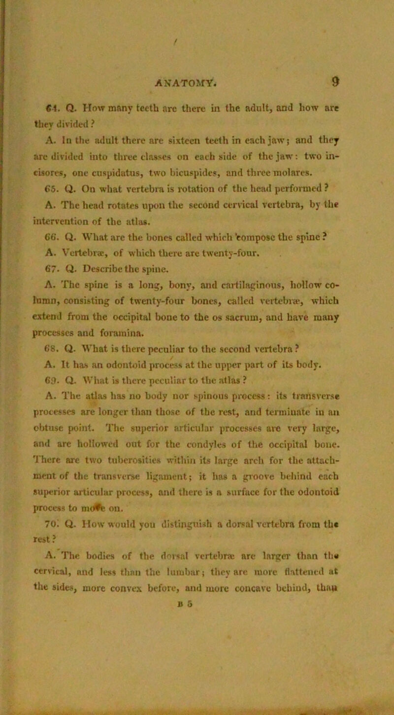 €1. Q. How many teeth are there in the adult, and how are they divided ? A. In the adult there are sixteen teeth in each jaw j and they arc divided into three classes on each side of the jaw; two in- cisores, one cuspidatus, two bicuspides, and three inolares. (>5. Q. On what vertebra is rotation of tlie head performed ? A. The head rotates upon the second cervical vertebra, by the intervention of the atlas. 66. Q. What are the bones called which'compose the spine? A. Vertebrae, of which there are twenty-four. 67. Q. Describe the spine. A. The spine is a lonj, bony, and cartilaginous, hollow co- lumn, consisting of twenty-four bones, called veitebra-, which extend from the occipital bone to the os sacrum, and have many processes and foramina. 68. Q. What is there peculiar to the second vertebra ? A. It has an odontoid process at the upper part of its body. 69. Cl. What is there peculiar to the atlas ? A. The atlas has no body nor .spinous process: its transverse processes are longer than those of the rest, and terminate iu an obtuse point. The superior articular processes ait! very large, and are hollowed out for the condyles of the occipital bone. There are two tuberosities within its large arch for the attach- ment of the transverse ligament; it has a groove behind each superior articular process, and there is a surface for the odontoid process to mdPfe on. 70'. Q. How would you distinguish a dorsal vertebra from the rest ? A. The bodies of the dorsal vertebra: are larger than the cervical, and less than the lumbar; they are more Hattened at the sides, more convex before, and more concave behind, than