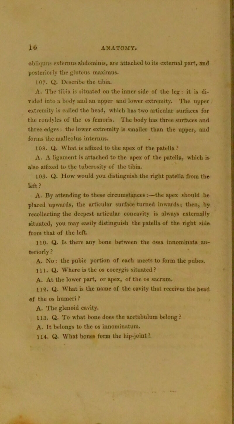 ob!ii|uas cxlemus abduminis, are attached to its external part, and posteriorly the gluteus maximus. 107- Q. Describe the tibia. A. The tibia is situated on the inner side of the leg : it is di- vided into a body and an upper and lower extremity. The upper extremity is called the head, which has two nitieular surfaces for the condyles of the os femoris. The body has three surfaces and three eilges: the lower exti'emity is smaller than the upper, and forms the malleolus interuus. 108. Q. What is allixed to the apex of the patella .’ A. A ligament is attached to the apex of the patella, which is also allixed to the tuberosity of the tibia. 109. Q. How would you distinguish the right patella from the left.’ A. By attending to these circumstapccs :—the apex should be placed upwards, the articular suiface turned inwards; then, by recollecting the deepest articular concavity is alwaj^s externally situated, you may easily distinguish the patella of the right side from that of the left 110. Q. Is there any bone between the ossa innominate an- teriorly ? A. No: the pubic portion of each meets to form the pubes. 111. Q. Where is the os coccygis situated A. At the lower part, or apex, of the os sacrum. 118. Q. What is tlie name of the cavity that receives the head of the os humeri ? A. The glenoid cavity. 113. Q. To what bone does the acetabulum belong i A. It belongs to the os innominatum. 114. Q. What bones form the hip-joint ?