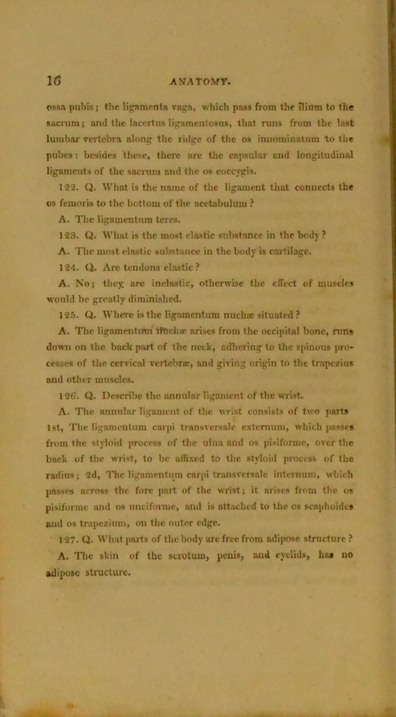 1(3 A^rATo^fy. ossa pubis j the lip^menta vaga, which pass from the iliam to the saciaim; and the lacertus ligameniosus, that runs from the last lumbar vertebra along the ridge of the os iniiominatum to llie pubes; besides these, there are tlie capsular and longitudinal ligaments of the sacnun and the os coccygis. 122. Q. What is the name of the ligament that connects the os femoris to the bottom of the acetabulum ? A. The liganientum teres. 123. Q. What is the most elastic substance in the body ? A. Tlie most elastic substance in the body is cartilage. 124. (i. Are tendons elastic? A. No j they are inelastic, otherwise the effect of muscles would be greatly diminished. 125. Q. Where is the ligamentum nuchs situated? A. The ligamentmn iftjcha?; arises from the occipital bone, nitis down on the back part of the neck, adhering to tlie spinous pro- cesses of tlie cervical vertebra:, and giving origin to the trapezius and other muscles. 126. Q. Describe the annular ligament of the wrist. A. The annular ligament of the wrist consists of two parts 1st, The ligamentum carpi transversale extcnium, which passes from the styloid process of the ulna and os pisiforme, over the back of the wrist, to be affixed to the styloid process of the radius; 2d, The ligamentum carpi transversale internum, which passes across the fore part of the wrist; it arises from the os pisifurme and os unciforme, and is attached to the os scaphoidet and os trapezium, on the outer edge. 127. Q. What parts of the body are free from adipose structure ? A. Tlie skin of the scrotum, penis, aud eyelids, ha* no adipose structure.