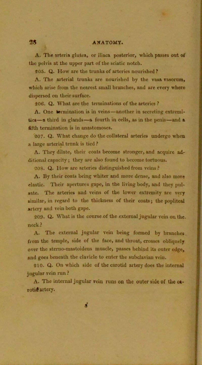 A. The arteria gluU-a, or iliaca posterior, 'which passes out of the pelvis at tlio upper part of tlie sciatic notch. SOS. Q. How are the trunks of arteries nourished ? A. The aitcrial trunks are nourished by the vasa vasorum, which arise from the nearest small branches, and are erery where dispersed on their surface. 206. Q. What arc the terminations of the arteries ? A. One termination is in veins—another in secreting exti'cml- tics—a thii-d in glands—a fourth in cells, as in the penis—and a fiftli termination is in anastomoses. 207. Q. 'What change do the collateral arteries undergo when a large aitcrial trunk is tied .* A. They dilate, their coats become stronger, and acquire ad- ditional capacity; they ai'c also found to become tortuous. 203. Q. How arc arteries distinguished from veins ? A. By their coats being whiter and more dense, and also more elastic. Hicir apertures gape, in the living body, and tliey pul- sate. The arteries and veins of the lower extremity arc very similai', in regard to the thickness of their coats; the poplitead artery and vein boUi gape. 209. Q. What is the course.of the external jugular vein on the. necki A. The external jugular vein being fonned by branches from the temple, side of the face, and tliroat, crosses obliquely over the stcnio-mastoideus muscle, passes behind its outer edge, and goes beneath the clavicle to enter the subclavian vein. 210. Q. On which side of the carotid artery docs the internal jugular vein run ? A. The intcntal jugular vein runs on the outer side of the e«- rotitf artery. 3